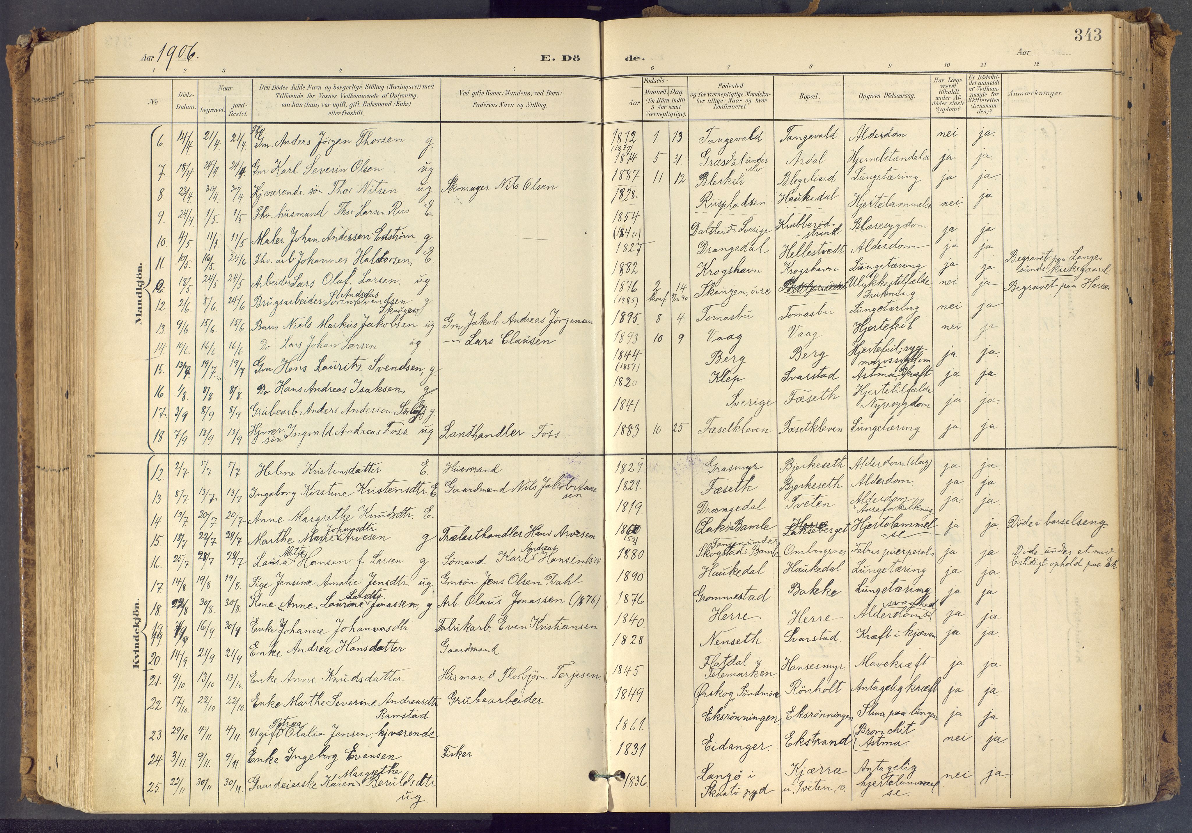 Bamble kirkebøker, SAKO/A-253/F/Fa/L0009: Parish register (official) no. I 9, 1901-1917, p. 343