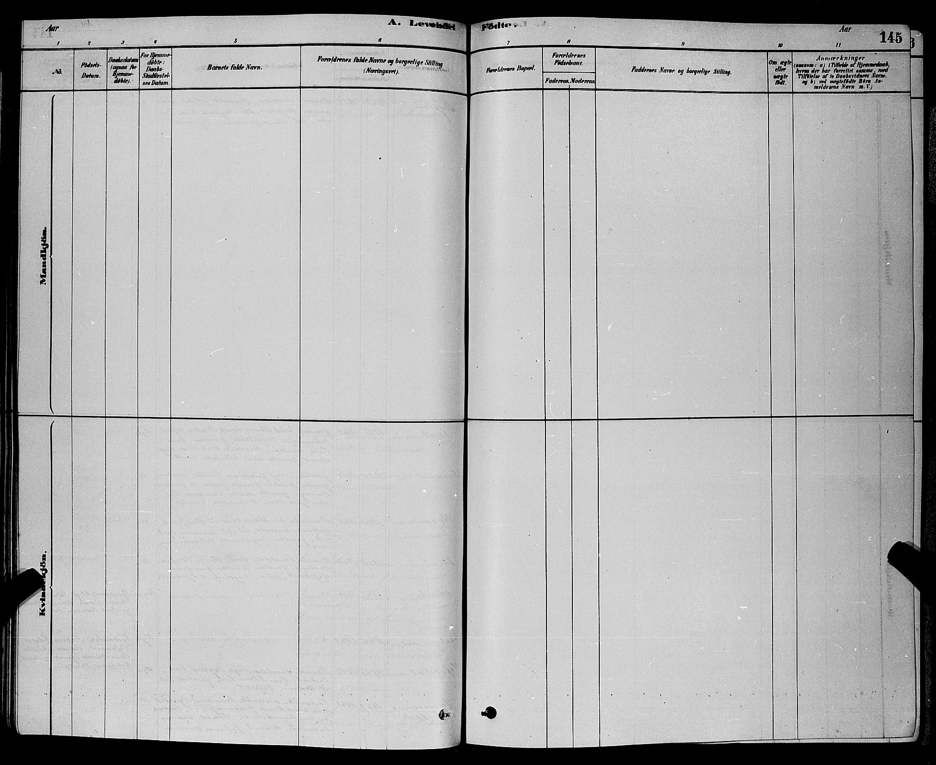 Bamble kirkebøker, SAKO/A-253/G/Ga/L0008: Parish register (copy) no. I 8, 1878-1888, p. 145