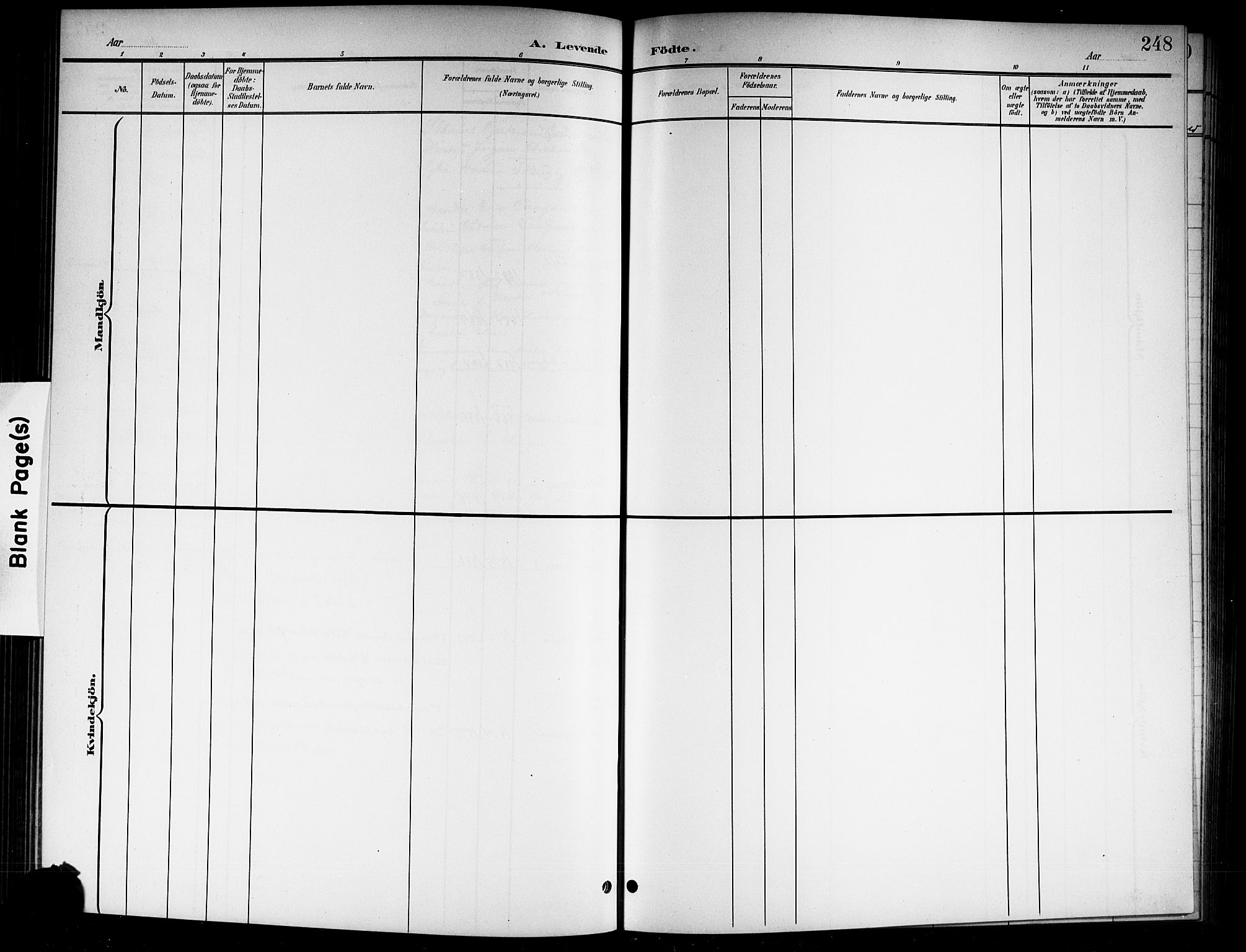 Norderhov kirkebøker, SAKO/A-237/G/Gb/L0002: Parish register (copy) no. II 2, 1891-1921, p. 248