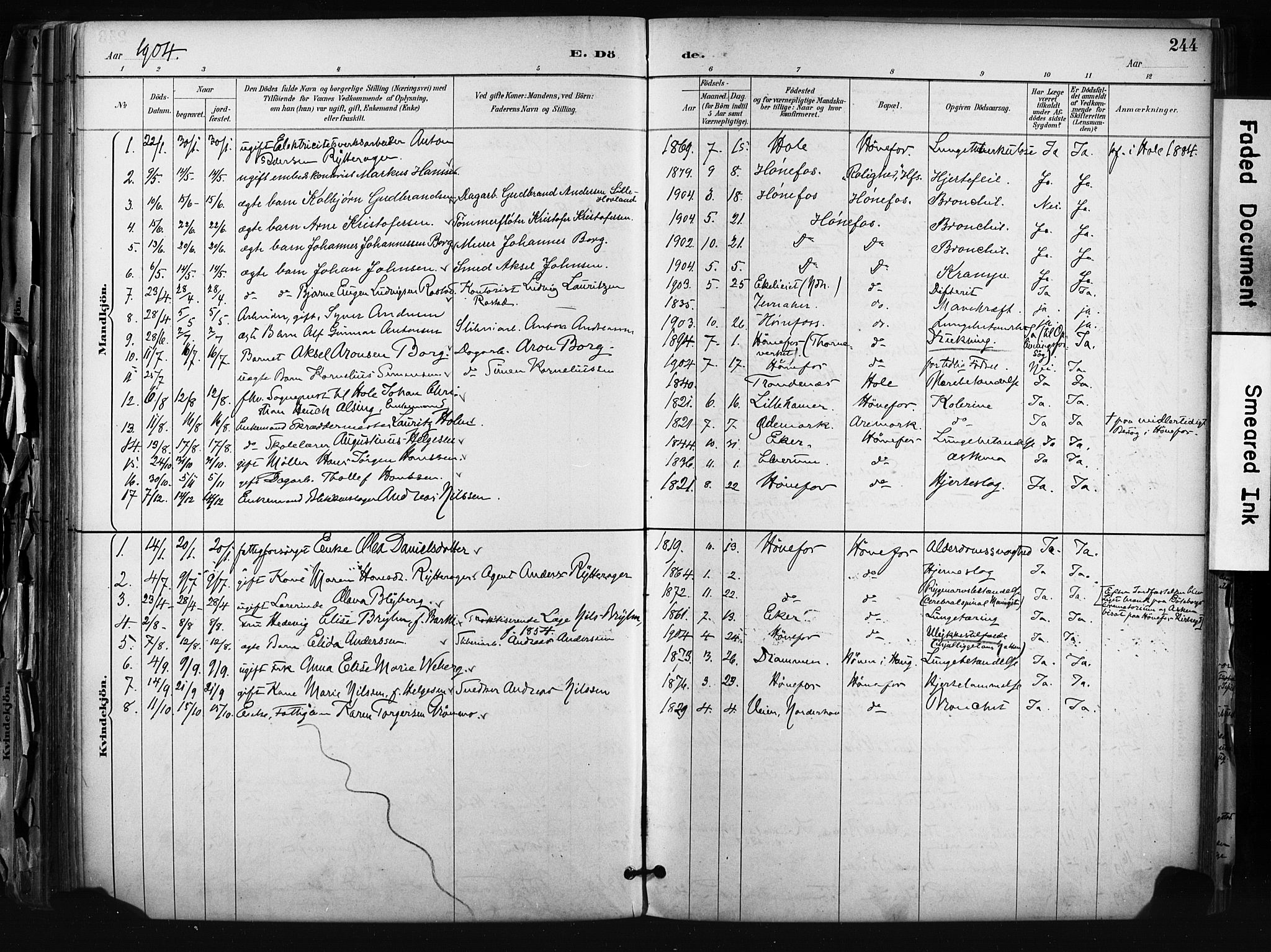 Hønefoss kirkebøker, AV/SAKO-A-609/F/Fa/L0002: Parish register (official) no. 2, 1887-1906, p. 244