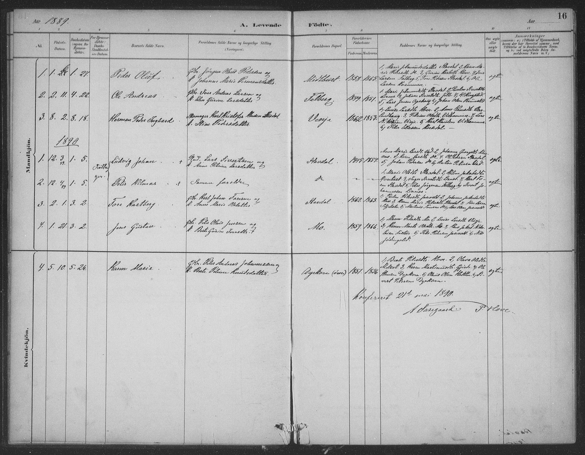 Ministerialprotokoller, klokkerbøker og fødselsregistre - Møre og Romsdal, AV/SAT-A-1454/521/L0299: Parish register (official) no. 521A01, 1882-1907, p. 16