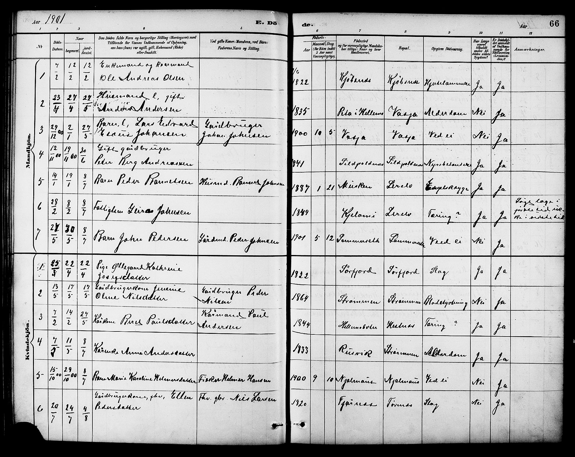 Ministerialprotokoller, klokkerbøker og fødselsregistre - Nordland, AV/SAT-A-1459/861/L0870: Parish register (official) no. 861A05, 1889-1903, p. 66