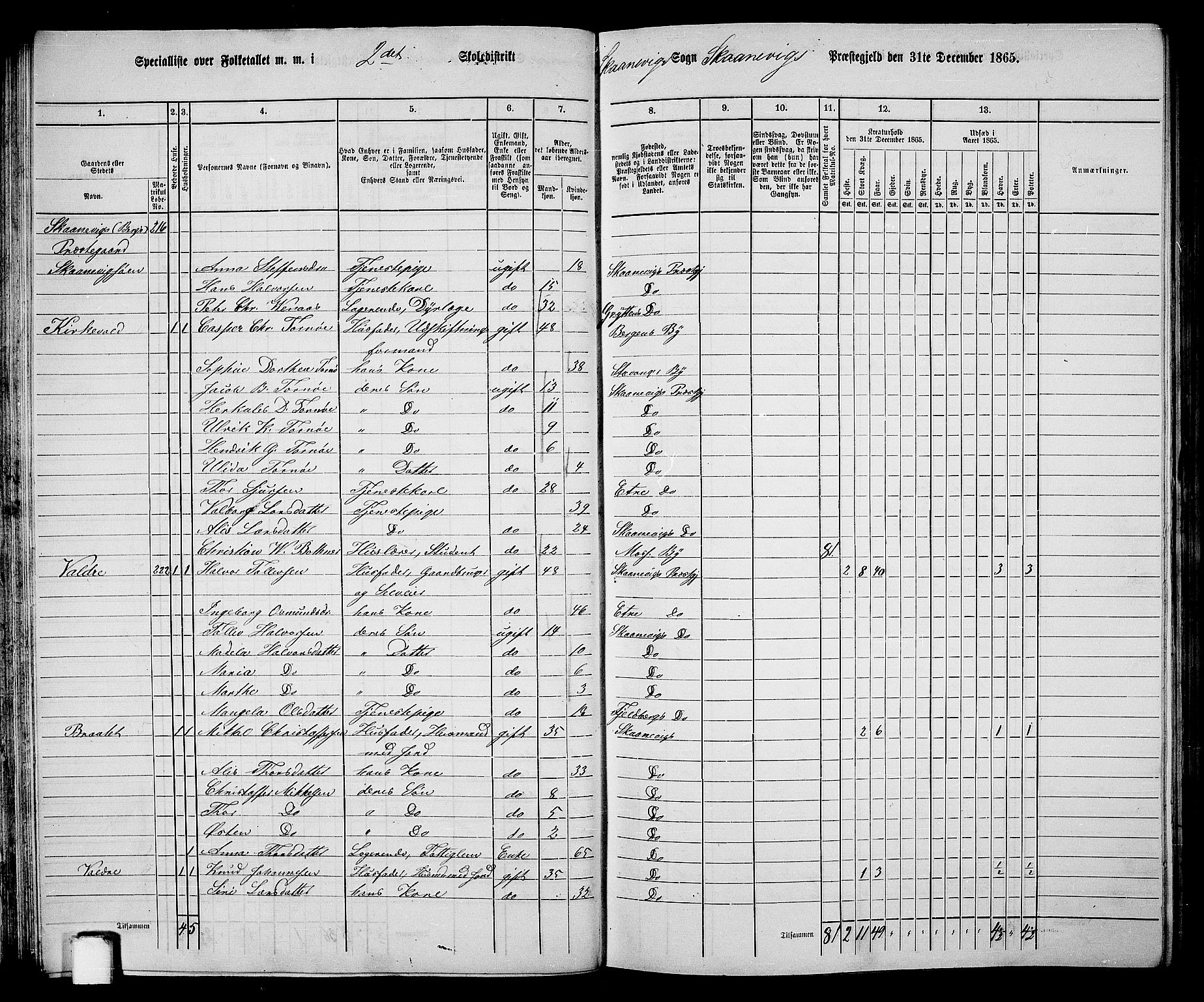 RA, 1865 census for Skånevik, 1865, p. 43