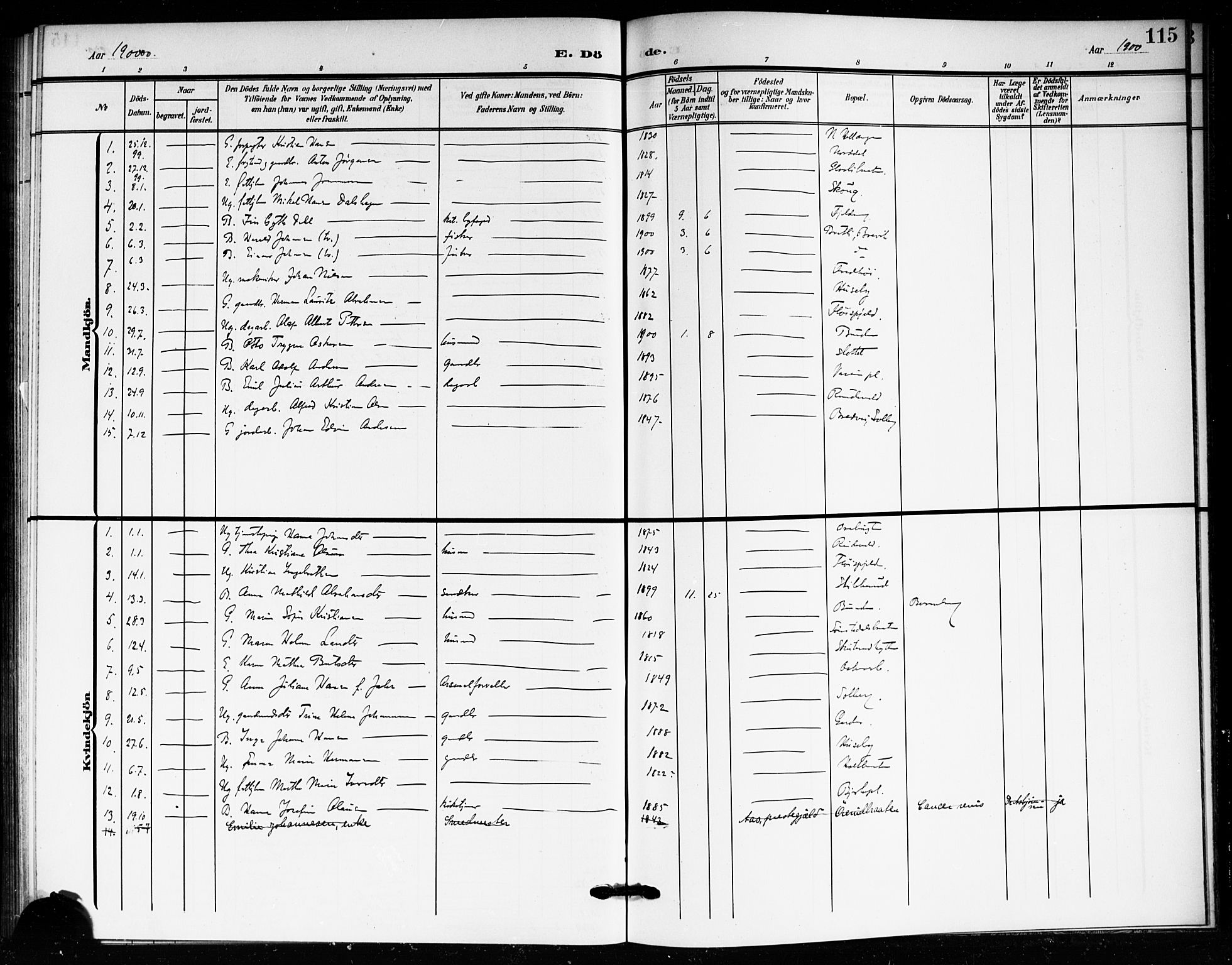 Drøbak prestekontor Kirkebøker, SAO/A-10142a/F/Fc/L0001: Parish register (official) no. III 1, 1871-1900, p. 115