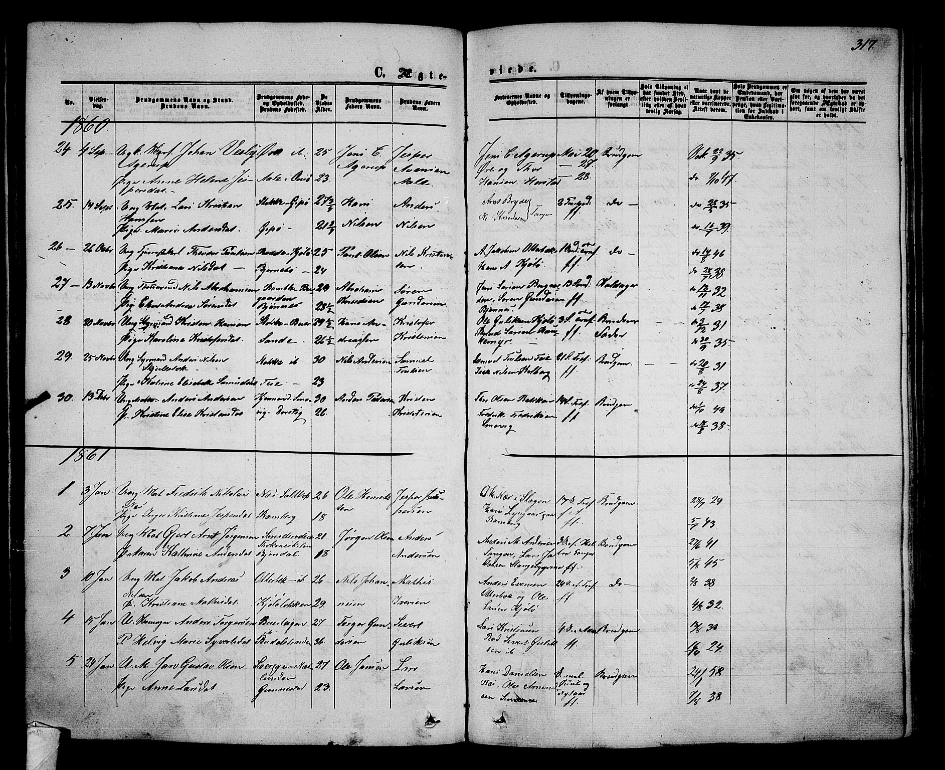 Nøtterøy kirkebøker, AV/SAKO-A-354/G/Ga/L0002: Parish register (copy) no. I 2, 1860-1877, p. 317