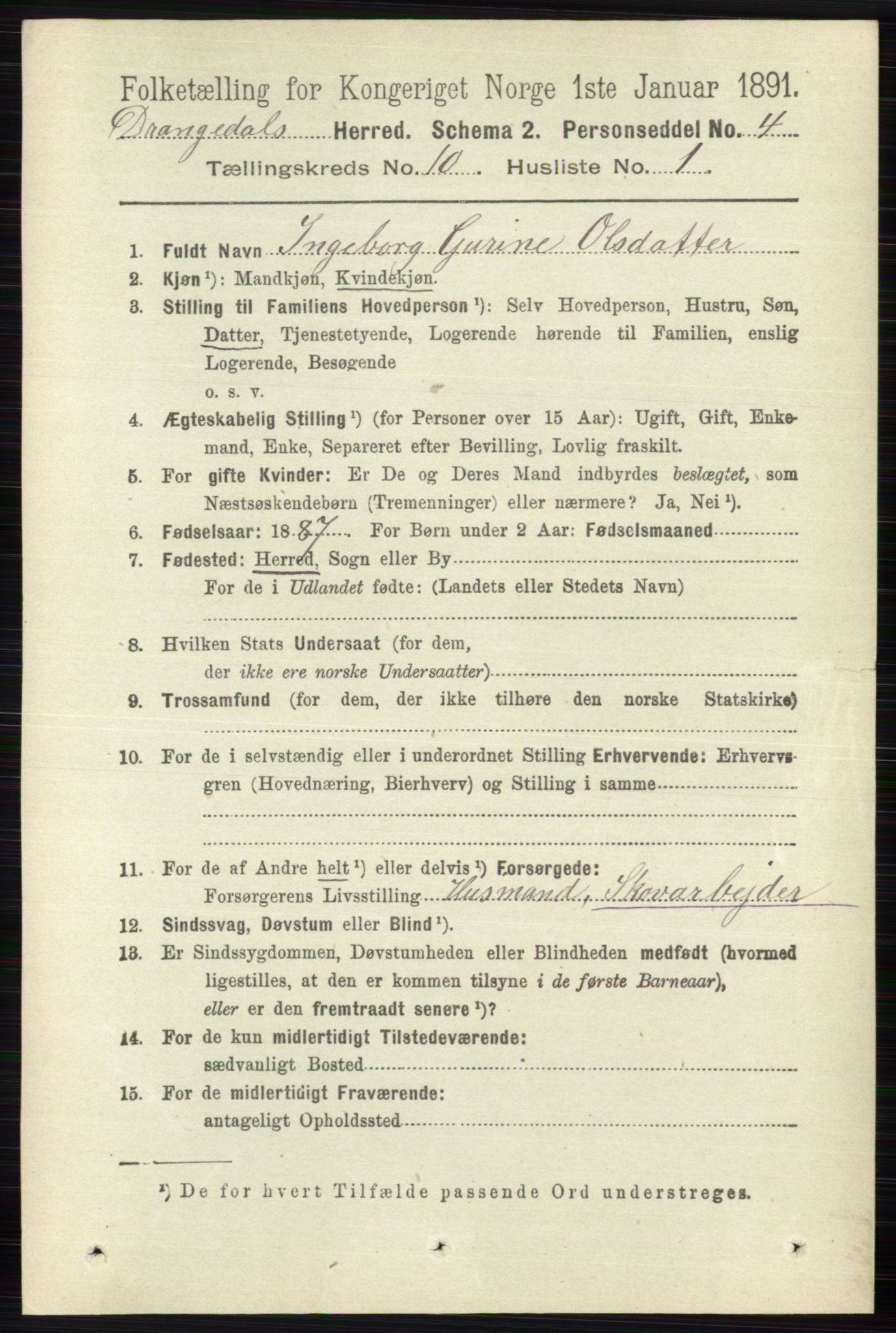 RA, 1891 census for 0817 Drangedal, 1891, p. 3419