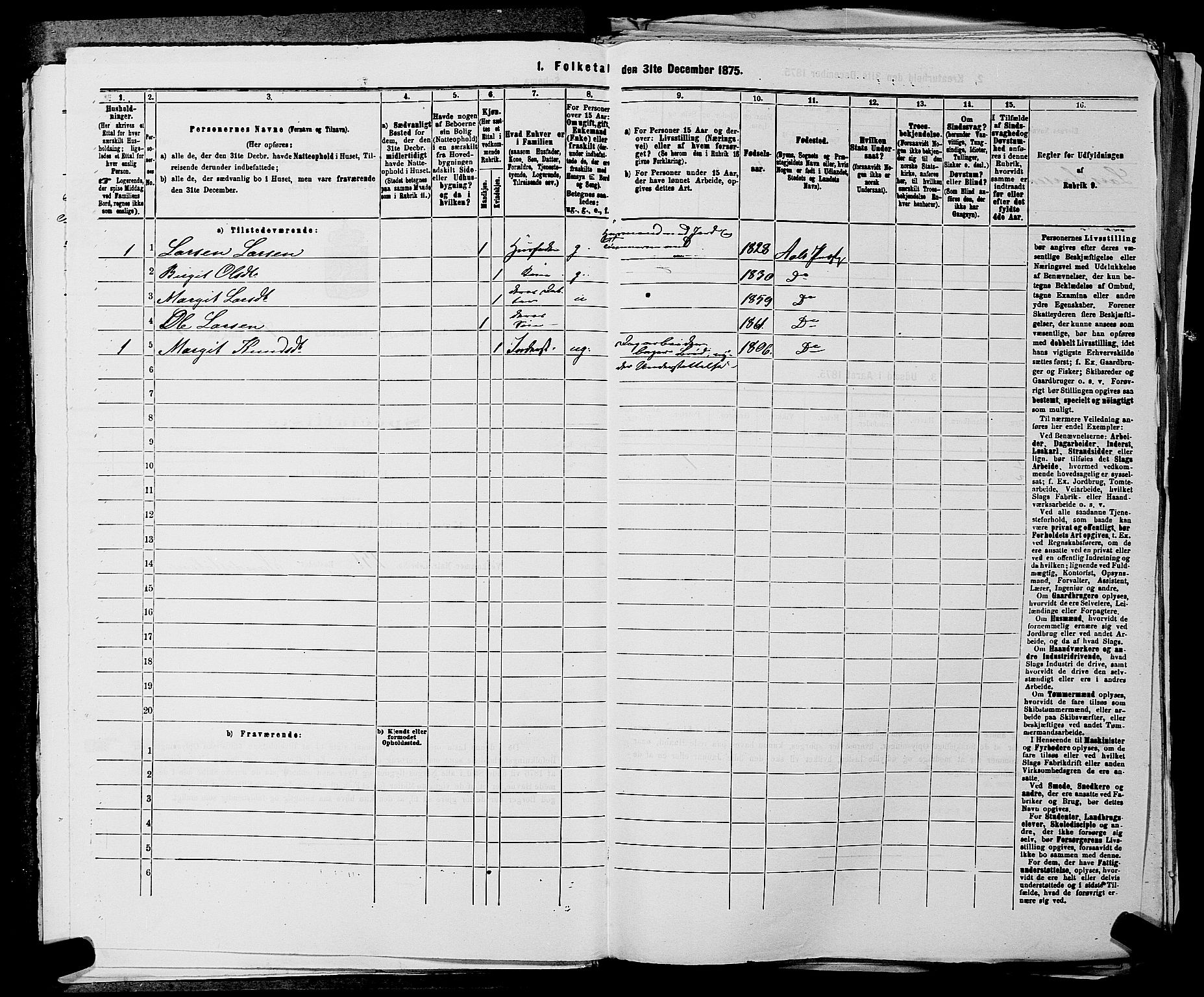 SAKO, 1875 census for 0619P Ål, 1875, p. 849