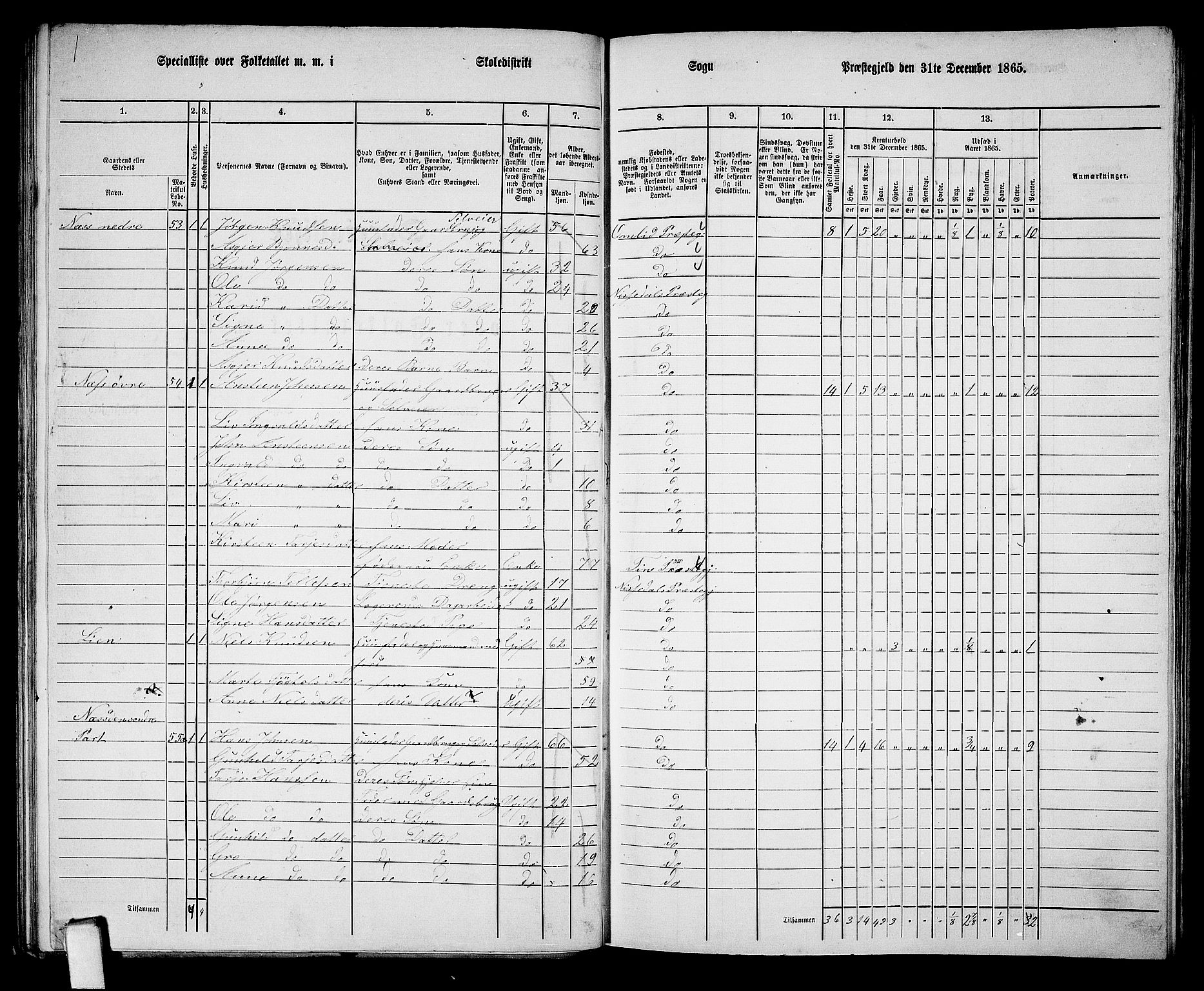 RA, 1865 census for Nissedal, 1865, p. 49