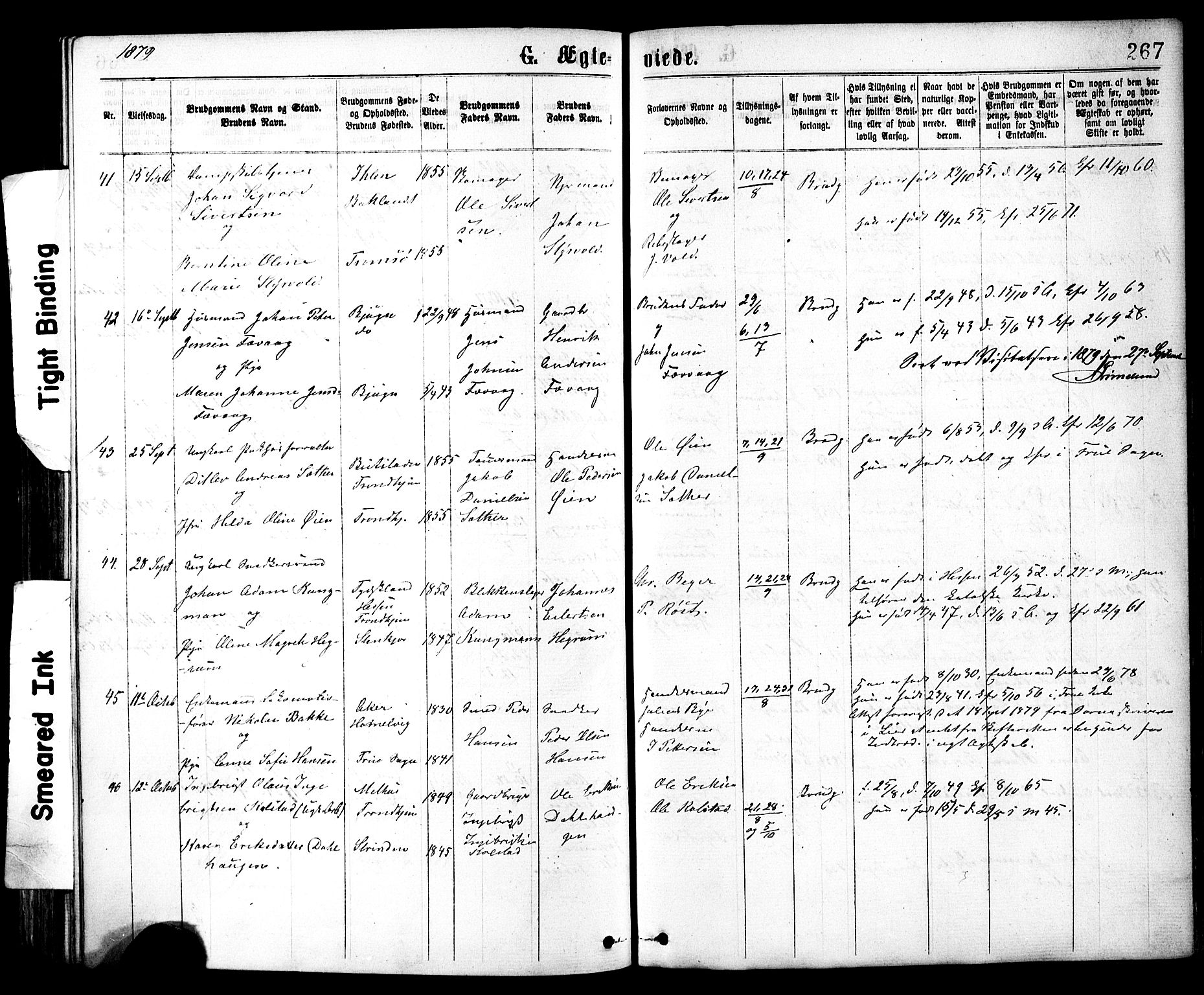 Ministerialprotokoller, klokkerbøker og fødselsregistre - Sør-Trøndelag, AV/SAT-A-1456/602/L0118: Parish register (official) no. 602A16, 1873-1879, p. 267