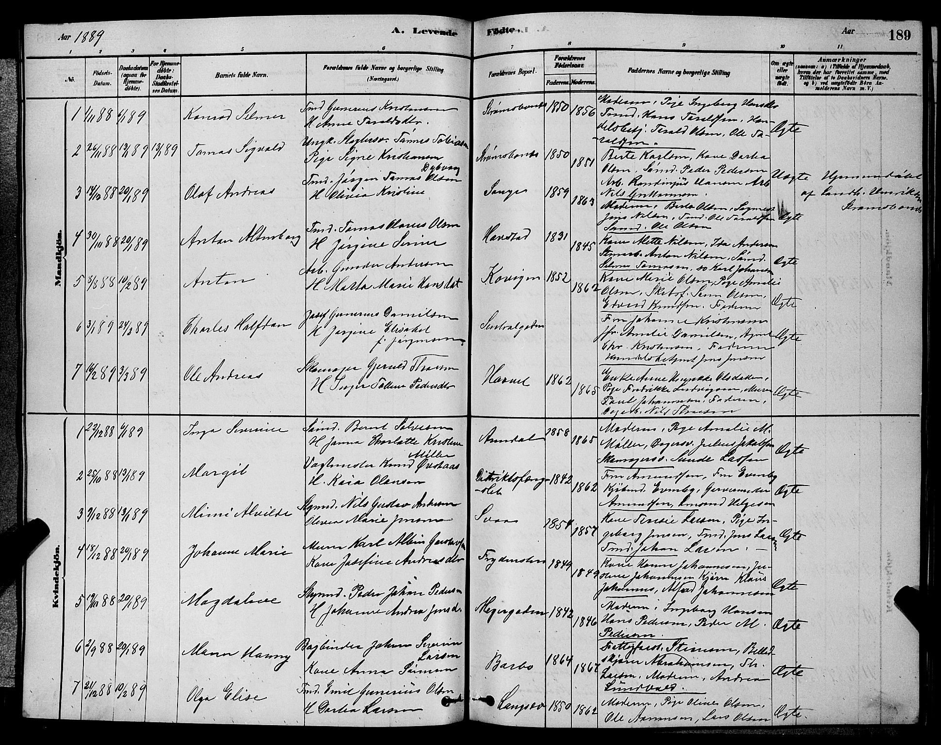 Barbu sokneprestkontor, AV/SAK-1111-0003/F/Fb/L0001: Parish register (copy) no. B 1, 1878-1890, p. 189