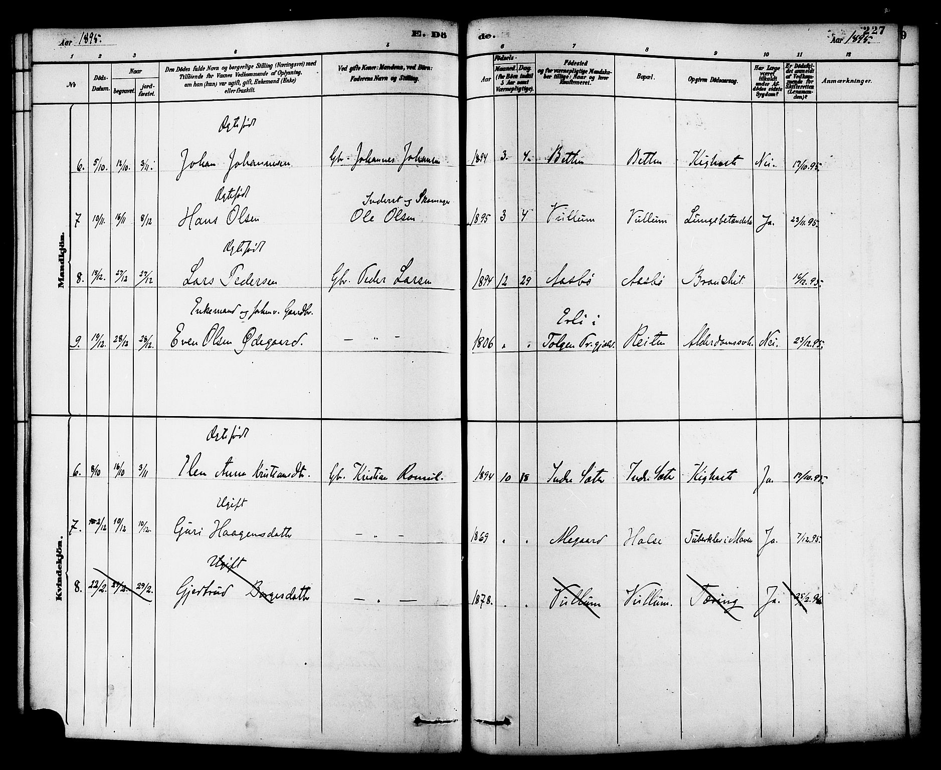 Ministerialprotokoller, klokkerbøker og fødselsregistre - Møre og Romsdal, AV/SAT-A-1454/576/L0885: Parish register (official) no. 576A03, 1880-1898, p. 227