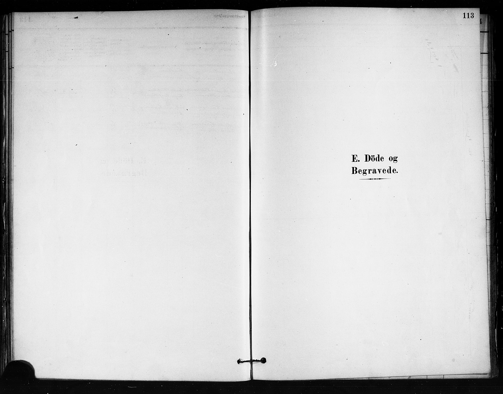 Tjøme kirkebøker, SAKO/A-328/F/Fa/L0001: Parish register (official) no. 1, 1879-1890, p. 113