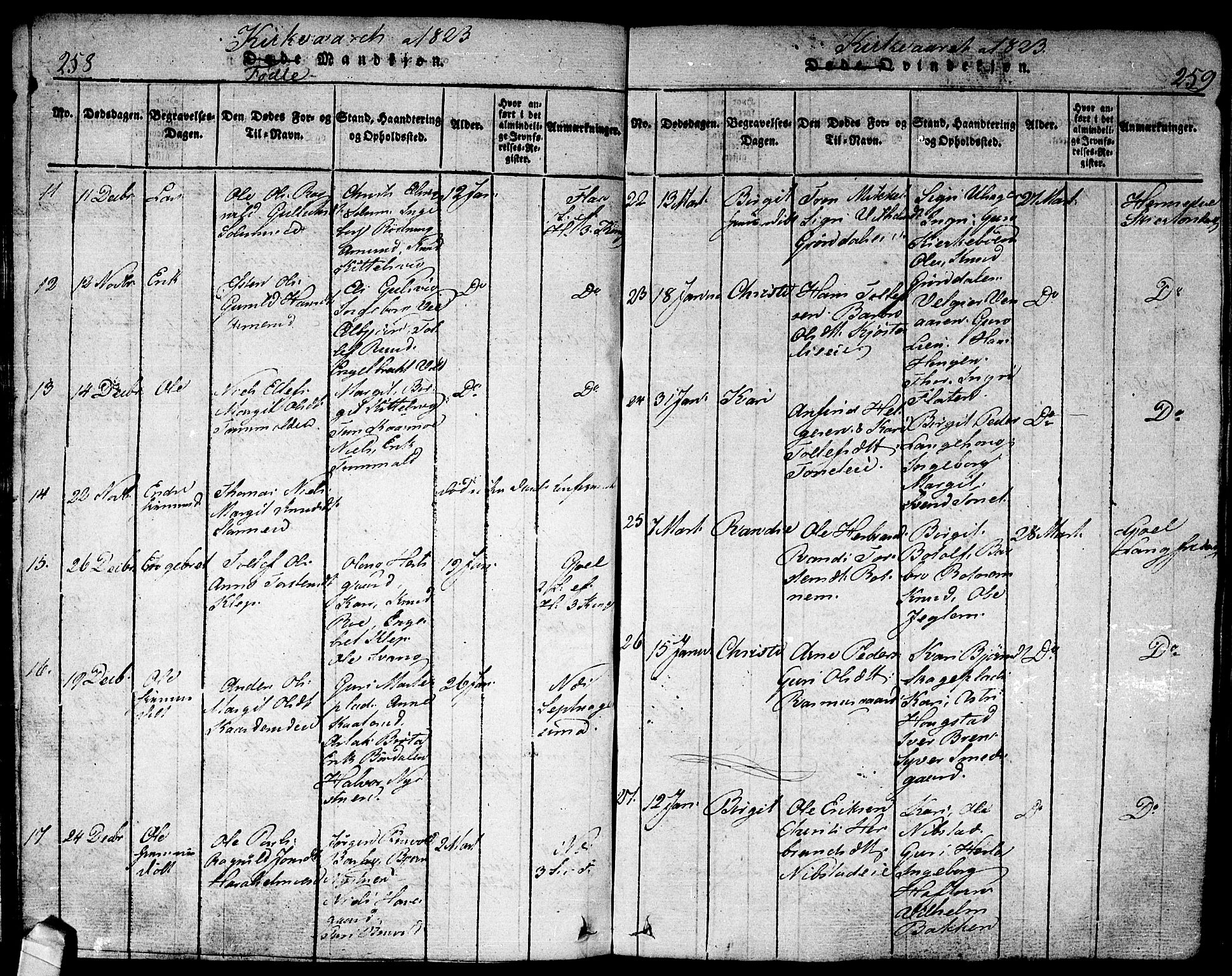 Nes kirkebøker, AV/SAKO-A-236/F/Fa/L0007: Parish register (official) no. 7, 1815-1823, p. 258-259