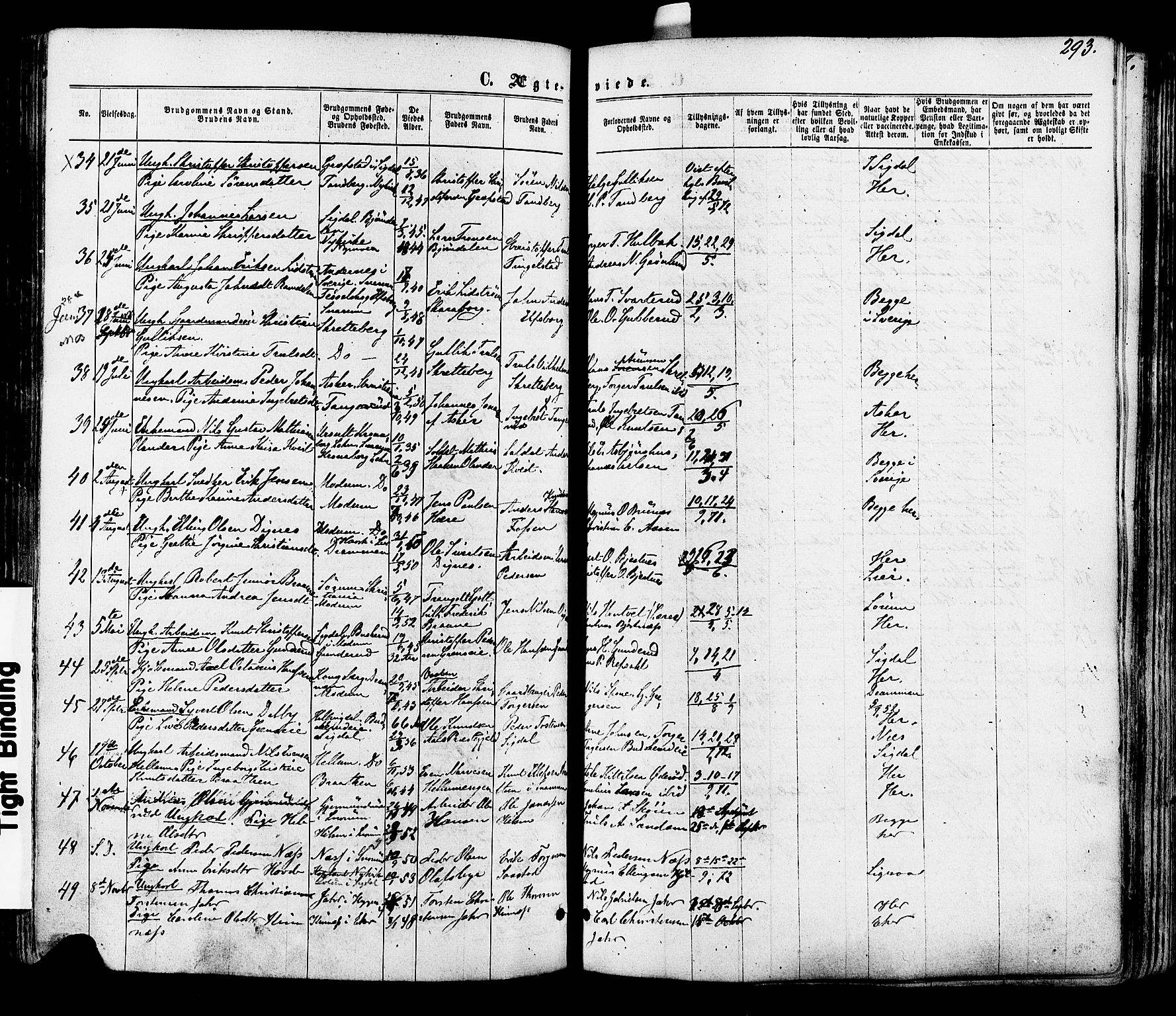 Modum kirkebøker, SAKO/A-234/F/Fa/L0010: Parish register (official) no. 10, 1865-1876, p. 293