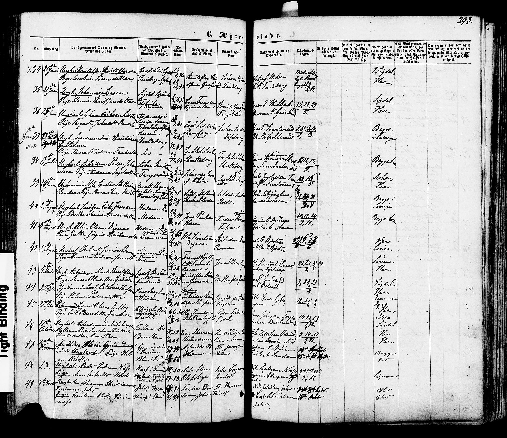 Modum kirkebøker, AV/SAKO-A-234/F/Fa/L0010: Parish register (official) no. 10, 1865-1876, p. 293