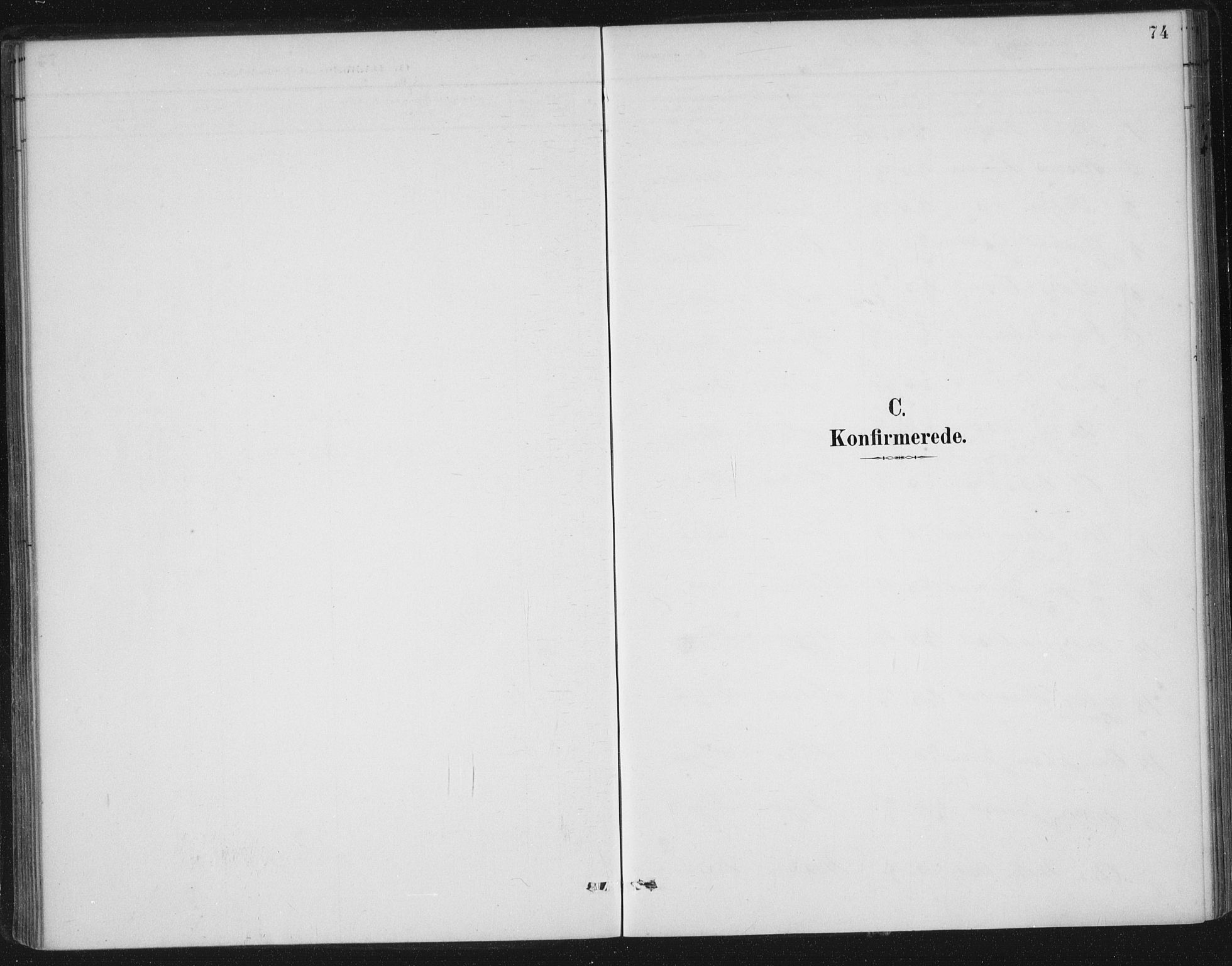Nedstrand sokneprestkontor, SAST/A-101841/01/IV: Parish register (official) no. A 13, 1887-1915, p. 74