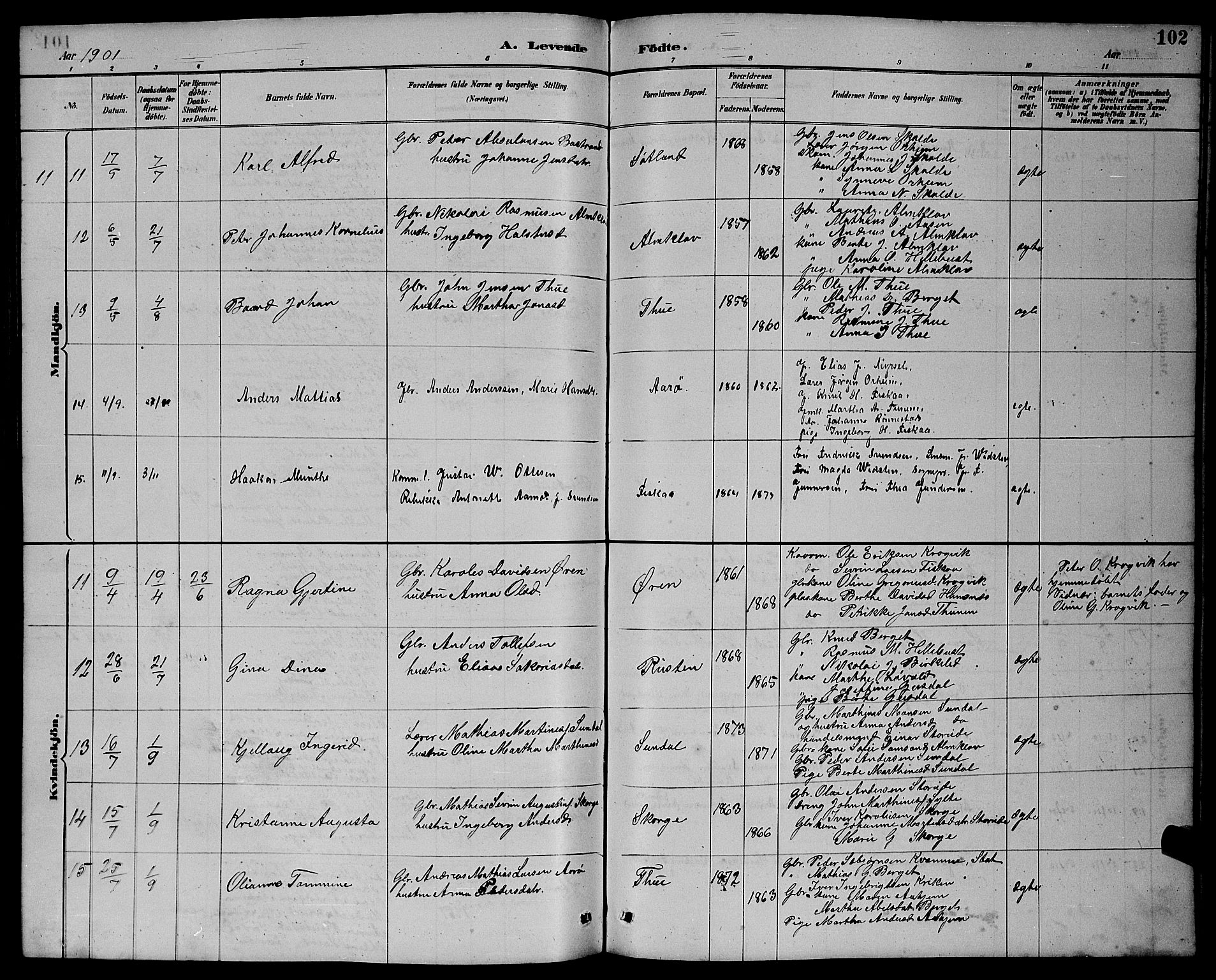 Ministerialprotokoller, klokkerbøker og fødselsregistre - Møre og Romsdal, AV/SAT-A-1454/501/L0017: Parish register (copy) no. 501C03, 1885-1901, p. 102