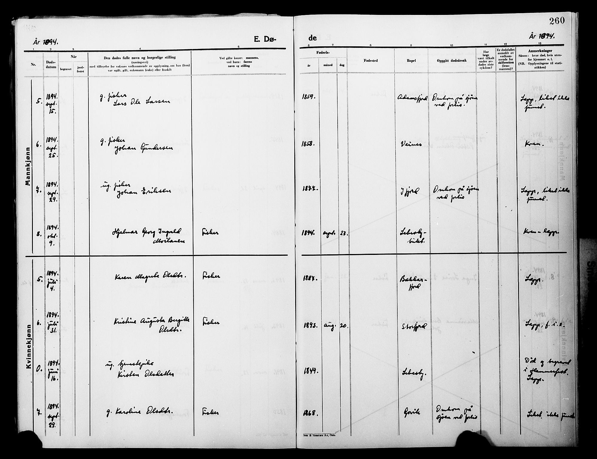 Lebesby sokneprestkontor, AV/SATØ-S-1353/H/Ha/L0004kirke: Parish register (official) no. 4, 1870-1902, p. 260