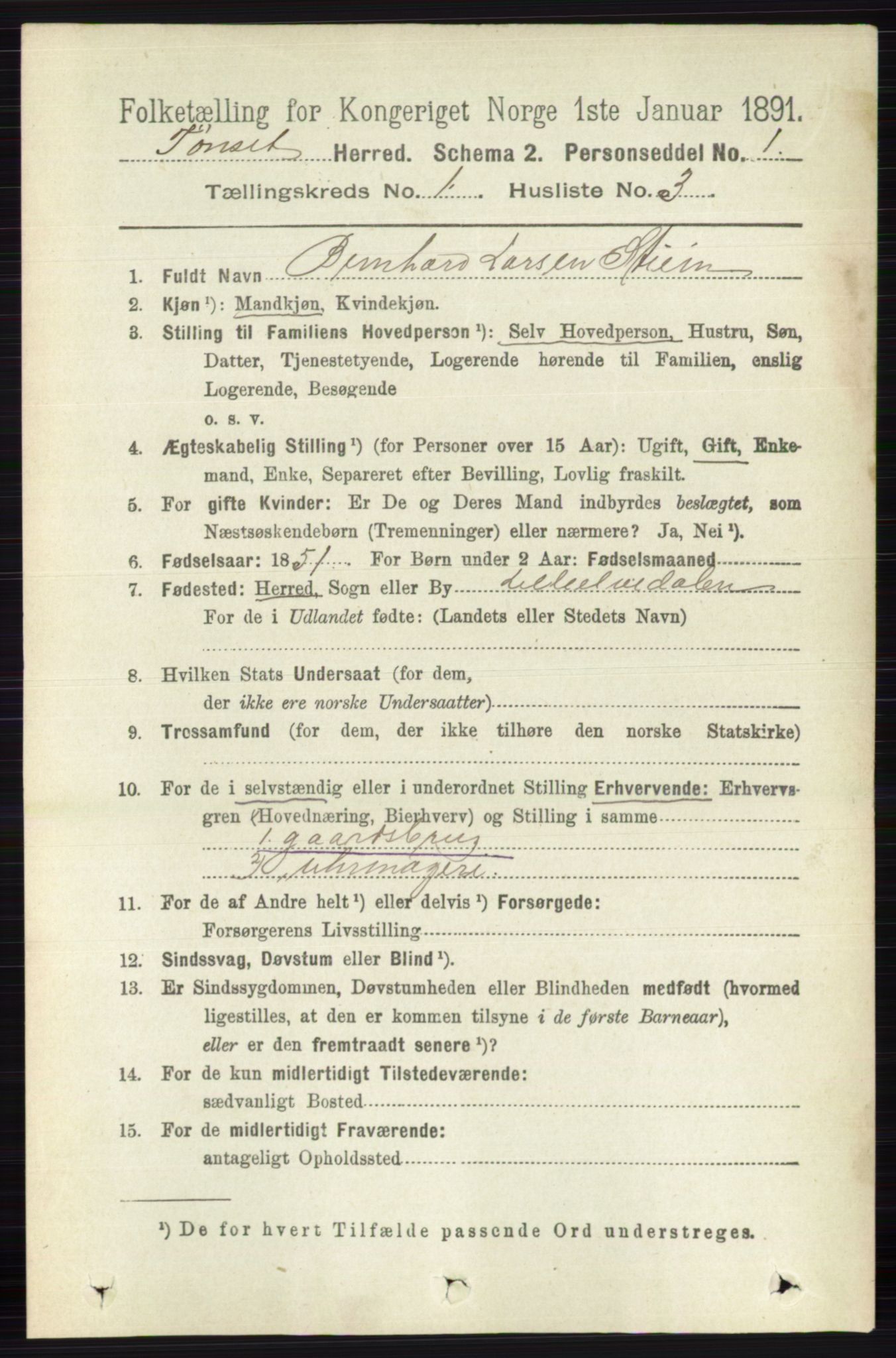 RA, 1891 census for 0437 Tynset, 1891, p. 91