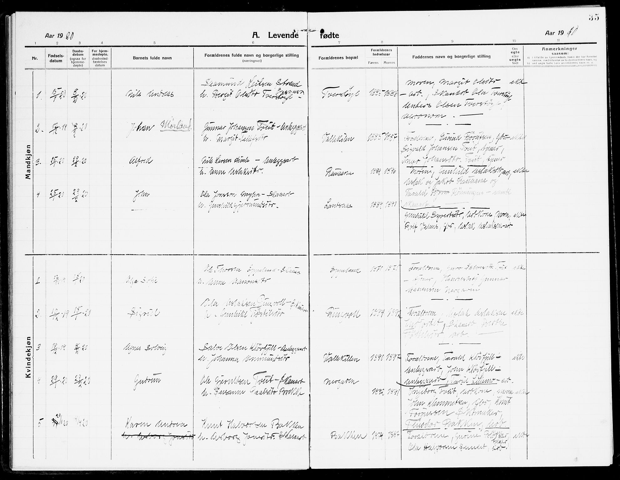 Åmli sokneprestkontor, SAK/1111-0050/F/Fa/Fac/L0013: Parish register (official) no. A 13, 1914-1933, p. 35