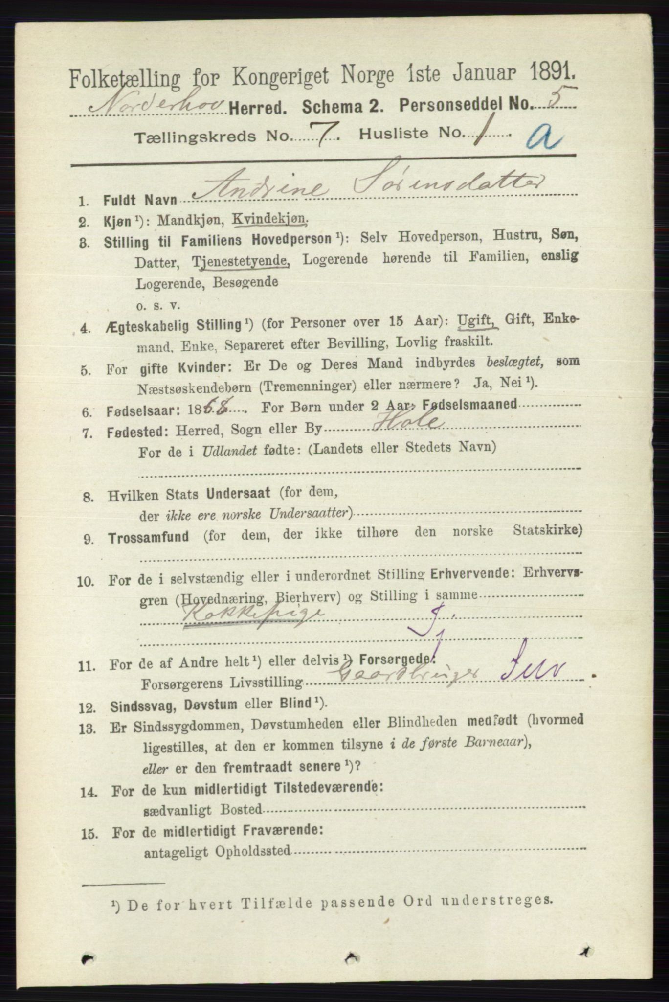 RA, 1891 census for 0613 Norderhov, 1891, p. 4493