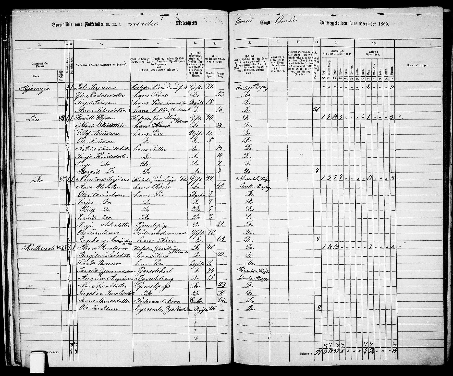 RA, 1865 census for Åmli, 1865, p. 32