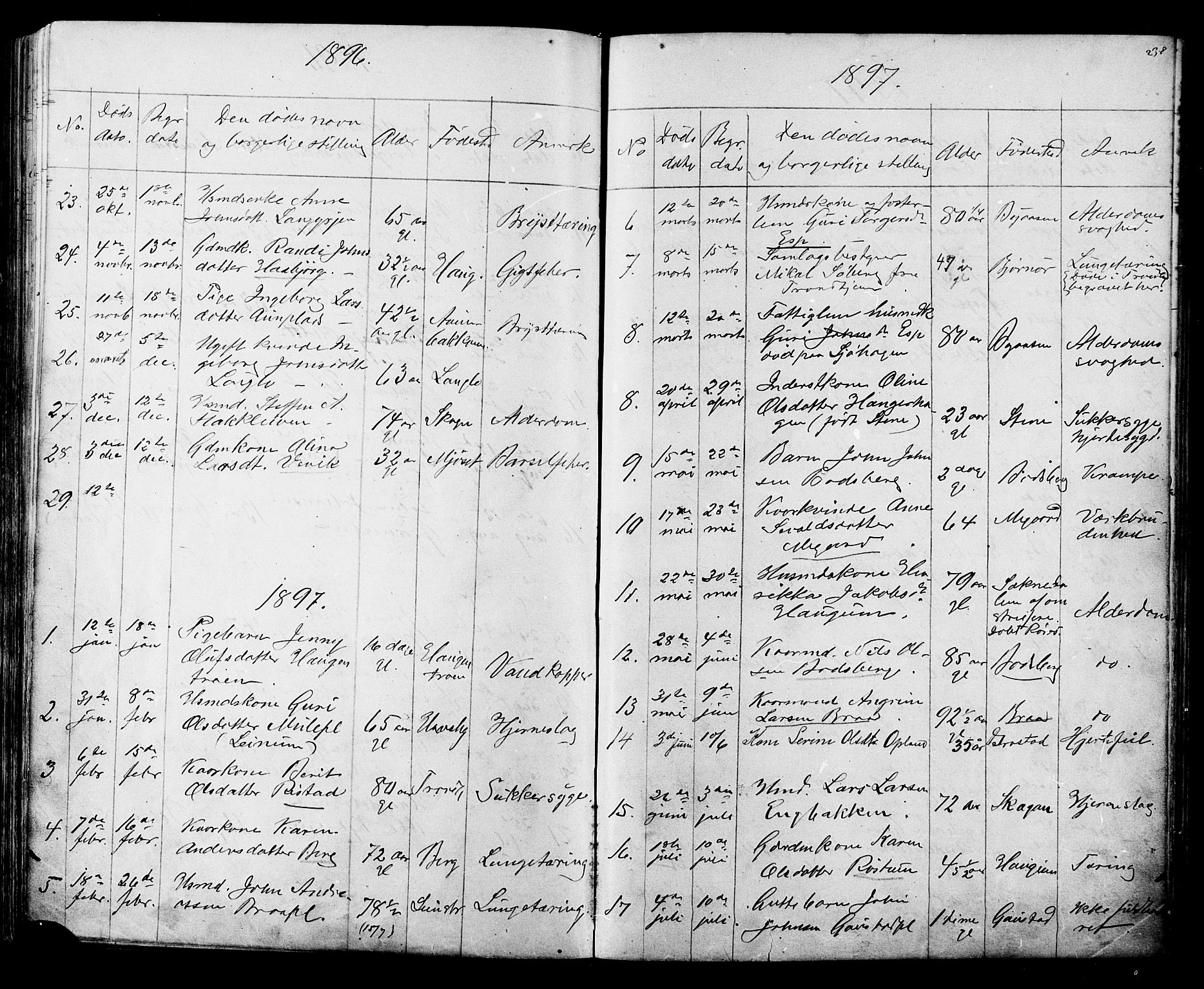 Ministerialprotokoller, klokkerbøker og fødselsregistre - Sør-Trøndelag, SAT/A-1456/612/L0387: Parish register (copy) no. 612C03, 1874-1908, p. 238