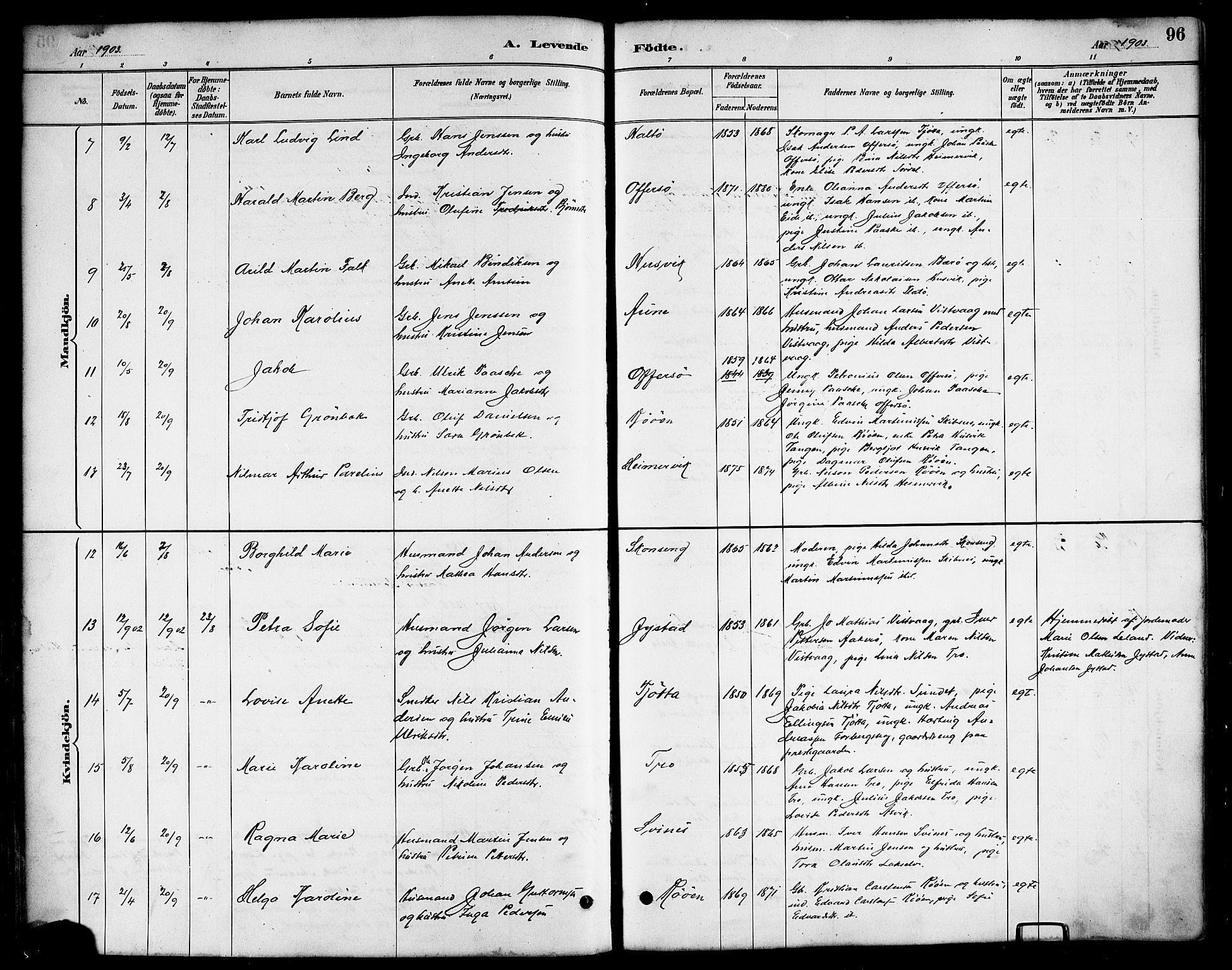 Ministerialprotokoller, klokkerbøker og fødselsregistre - Nordland, AV/SAT-A-1459/817/L0268: Parish register (copy) no. 817C03, 1884-1920, p. 96