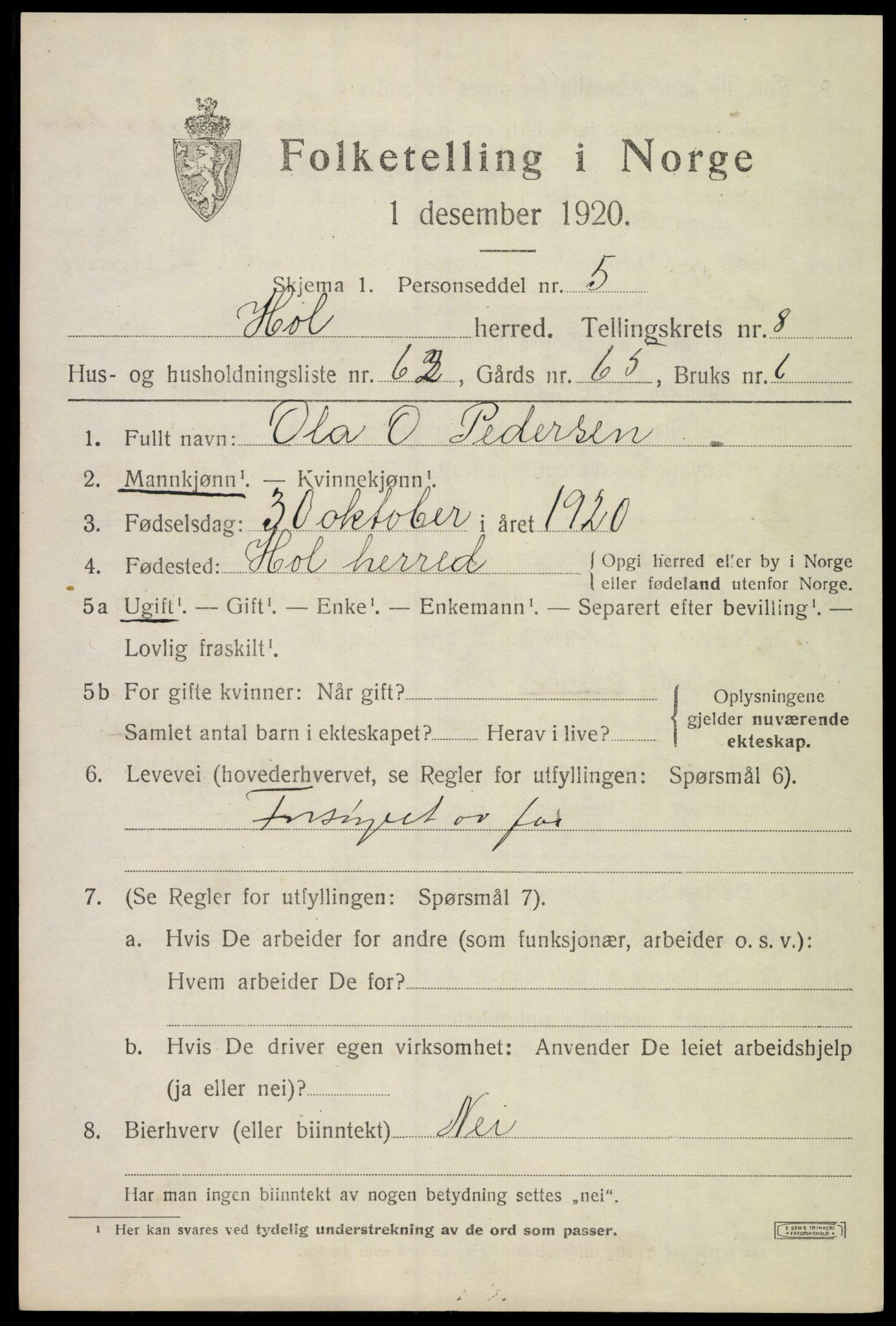 SAKO, 1920 census for Hol (Buskerud), 1920, p. 4917