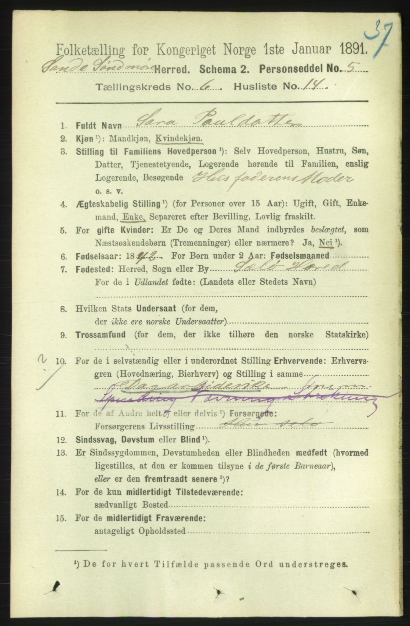 RA, 1891 census for 1514 Sande, 1891, p. 1127