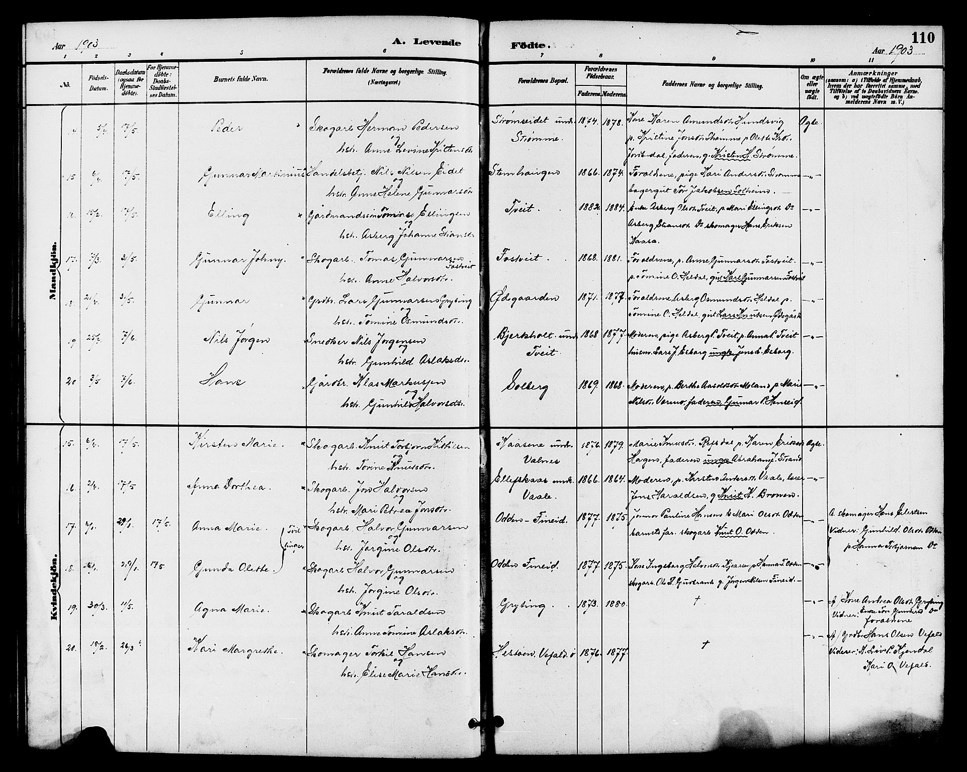 Drangedal kirkebøker, AV/SAKO-A-258/G/Ga/L0003: Parish register (copy) no. I 3, 1887-1906, p. 110