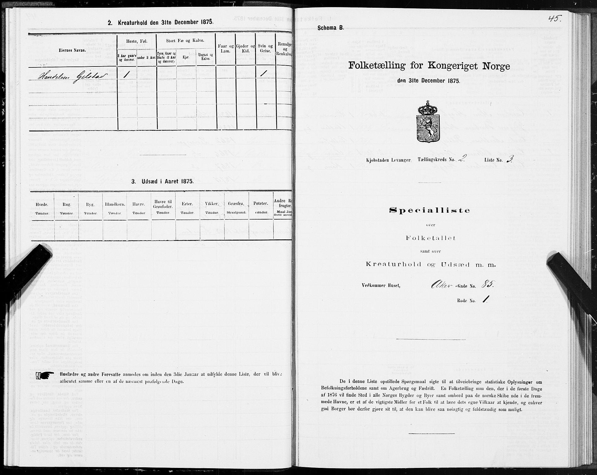 SAT, 1875 census for 1701B Levanger/Levanger, 1875, p. 45