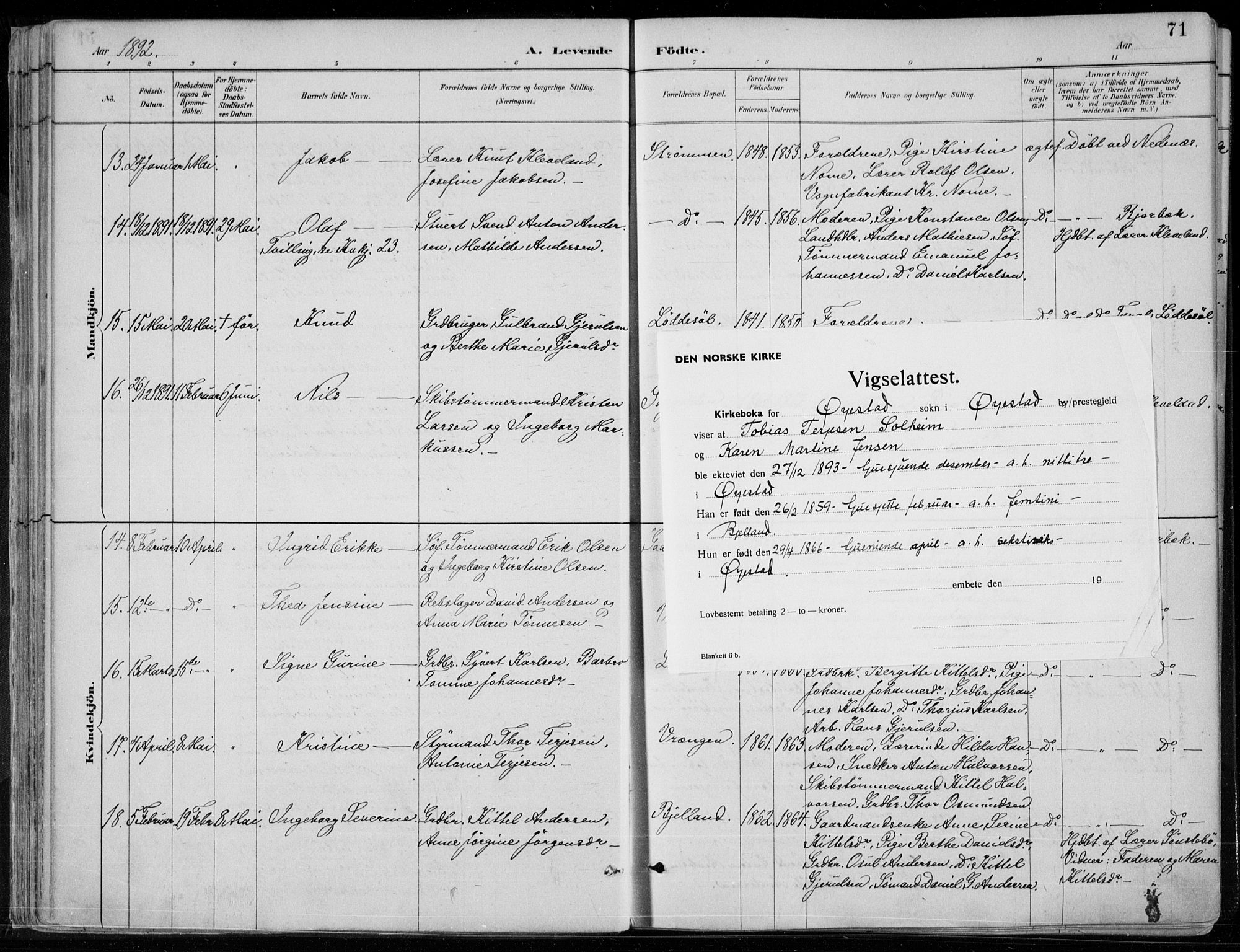 Øyestad sokneprestkontor, SAK/1111-0049/F/Fa/L0017: Parish register (official) no. A 17, 1887-1896, p. 71