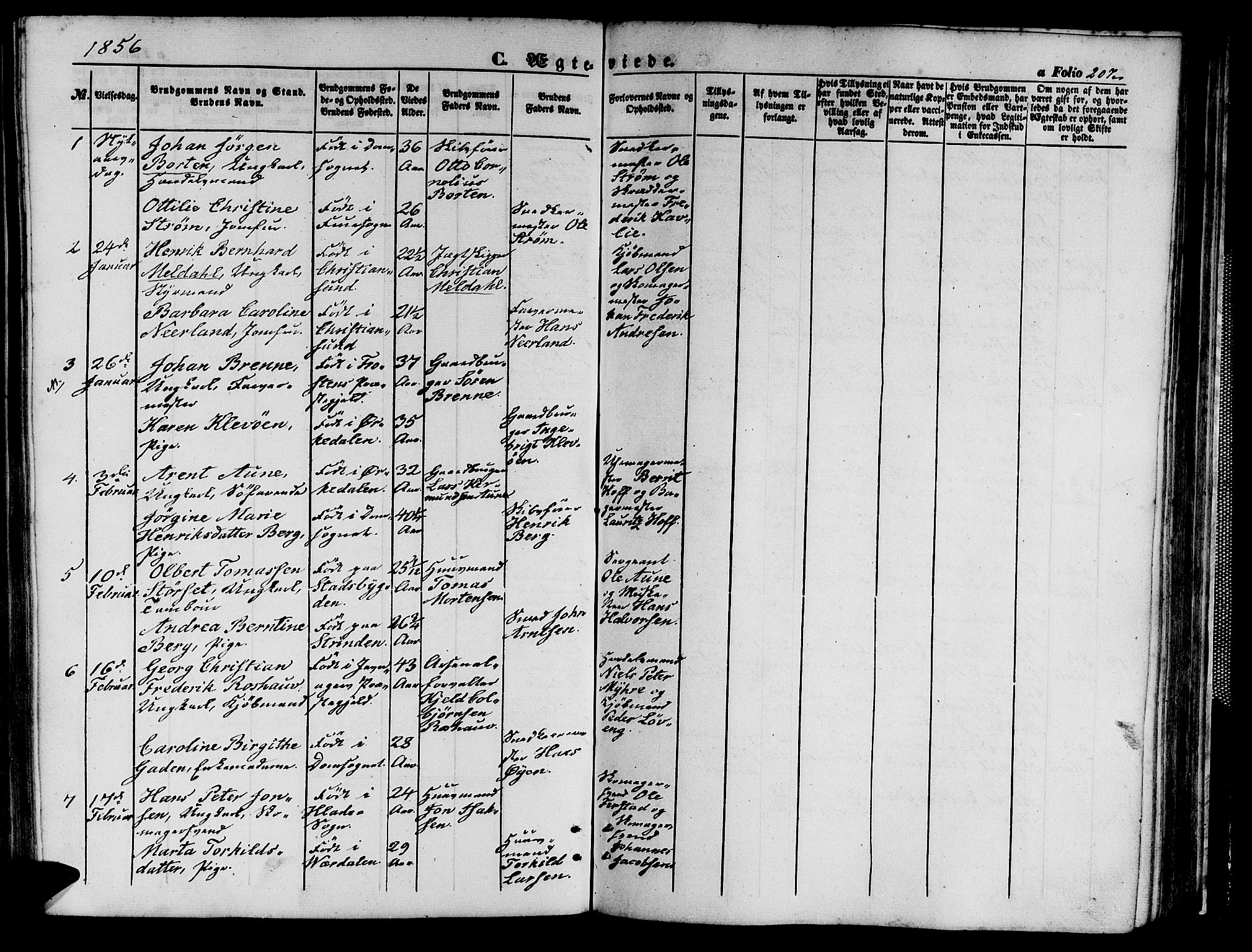 Ministerialprotokoller, klokkerbøker og fødselsregistre - Sør-Trøndelag, SAT/A-1456/602/L0138: Parish register (copy) no. 602C06, 1853-1858, p. 207