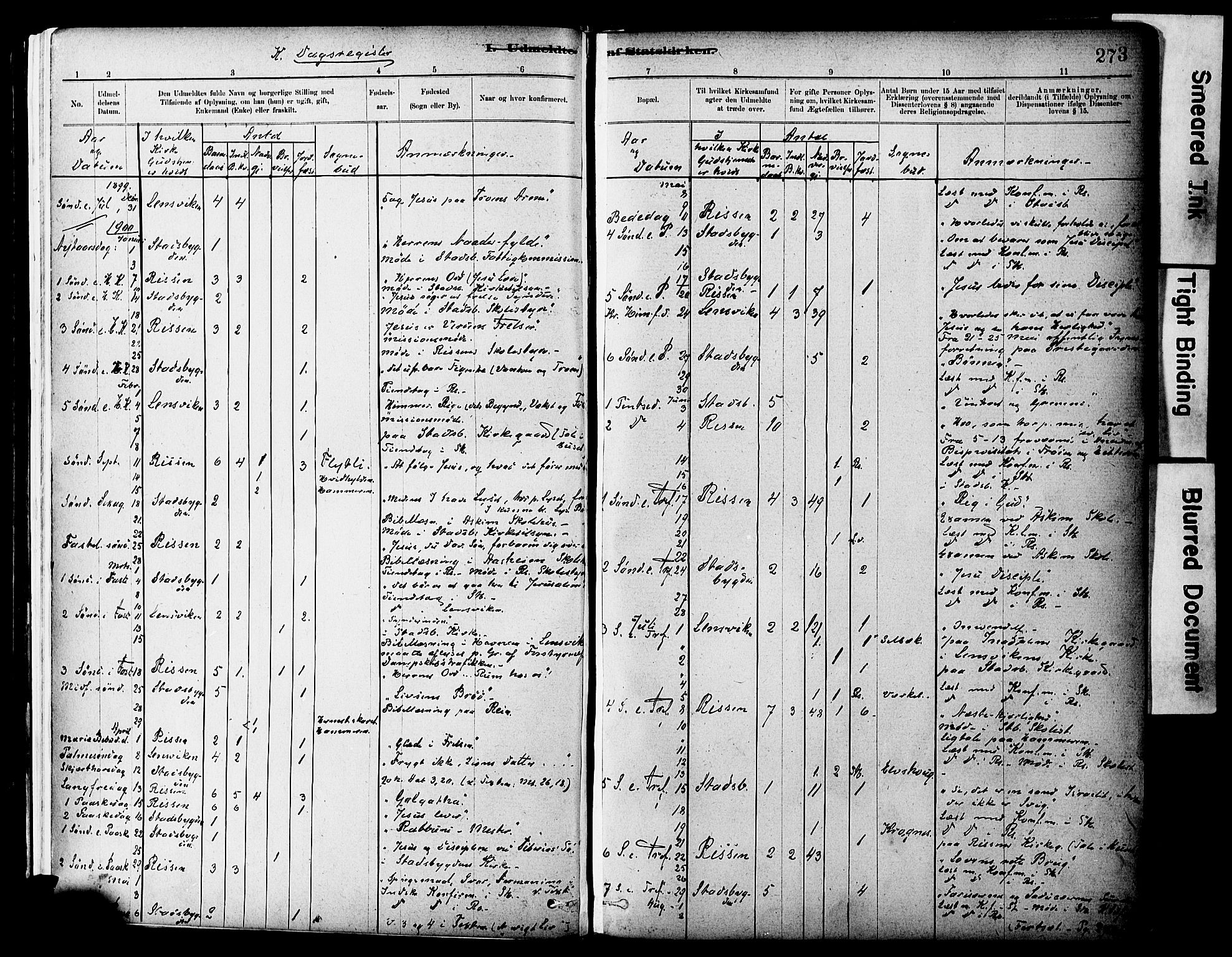 Ministerialprotokoller, klokkerbøker og fødselsregistre - Sør-Trøndelag, SAT/A-1456/646/L0615: Parish register (official) no. 646A13, 1885-1900, p. 273