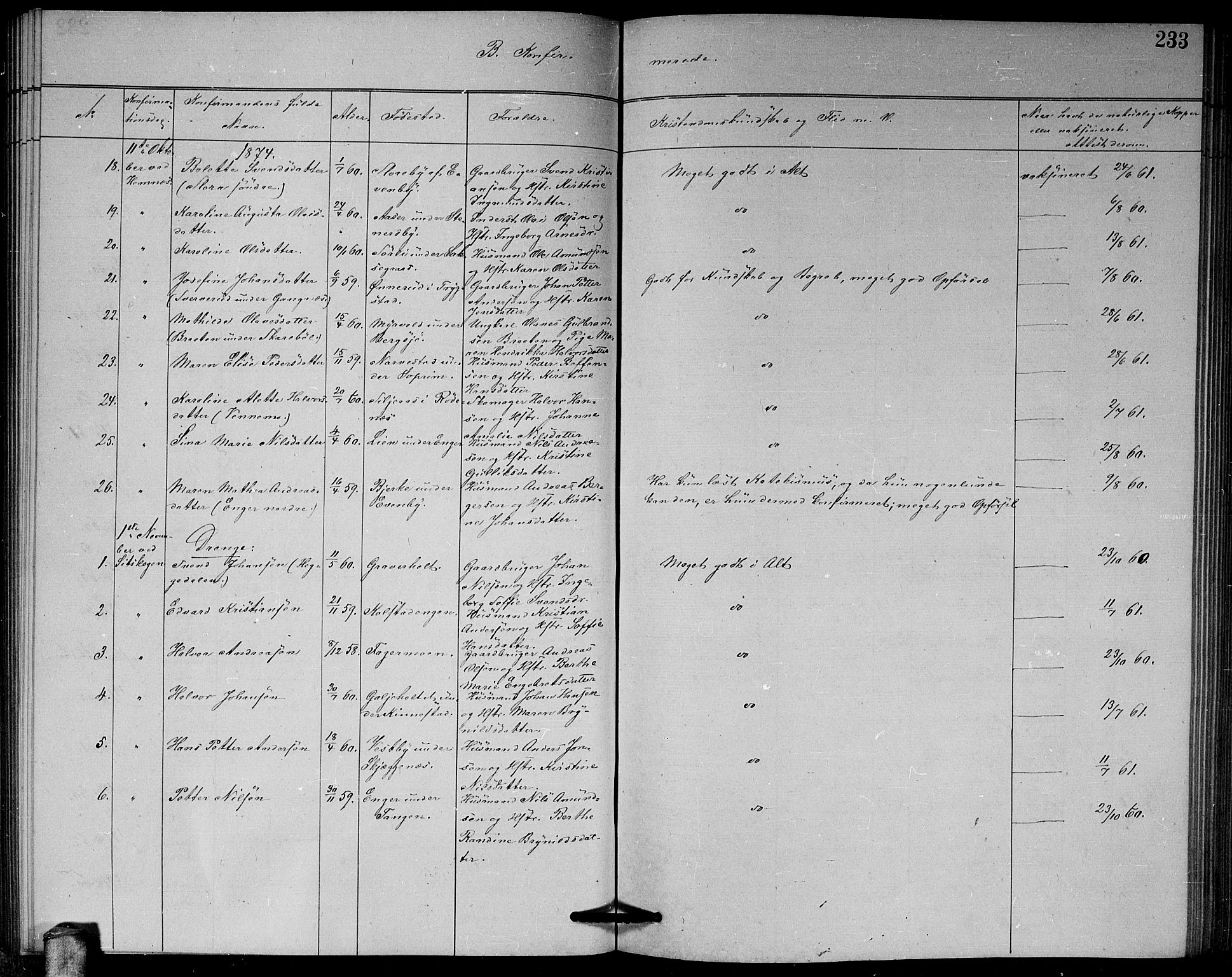 Høland prestekontor Kirkebøker, AV/SAO-A-10346a/G/Ga/L0006: Parish register (copy) no. I 6, 1869-1879, p. 233