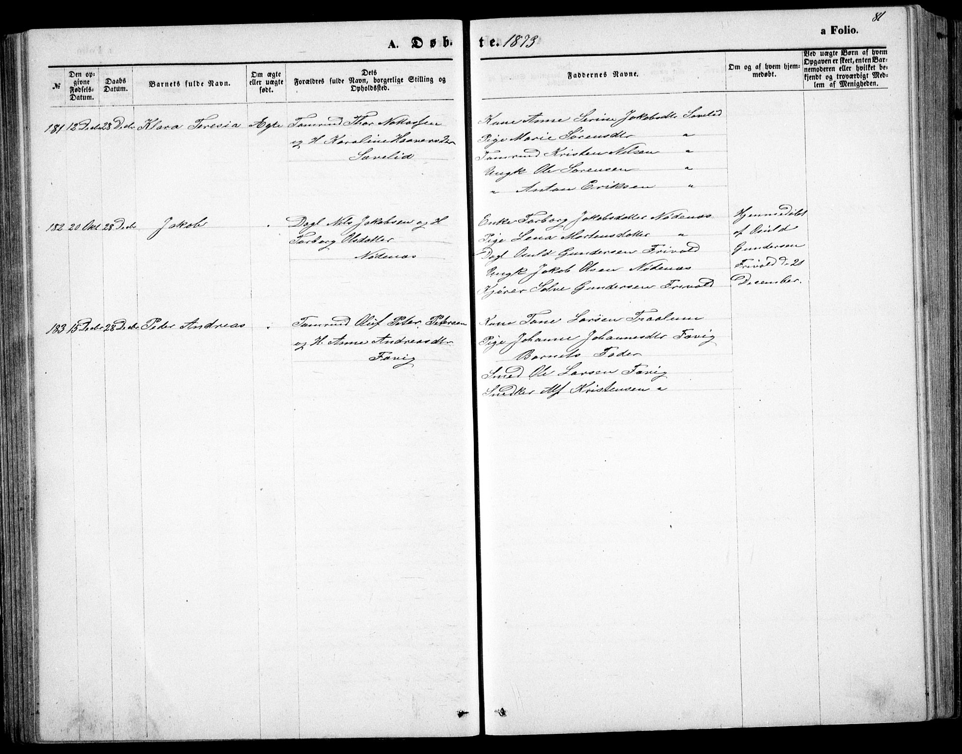 Fjære sokneprestkontor, SAK/1111-0011/F/Fb/L0010: Parish register (copy) no. B 10, 1871-1880, p. 81