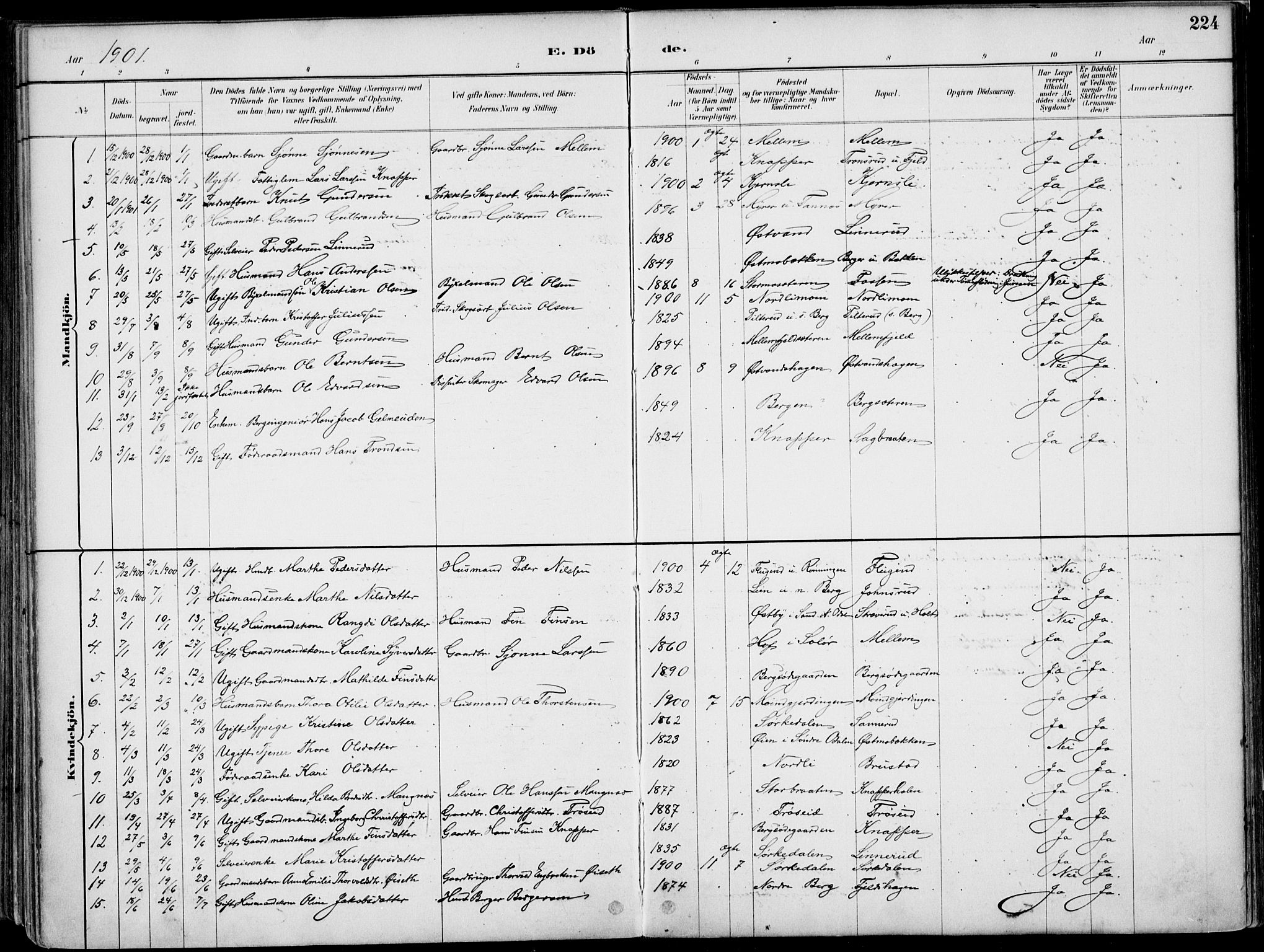 Nord-Odal prestekontor, AV/SAH-PREST-032/H/Ha/Haa/L0008: Parish register (official) no. 8, 1886-1901, p. 224