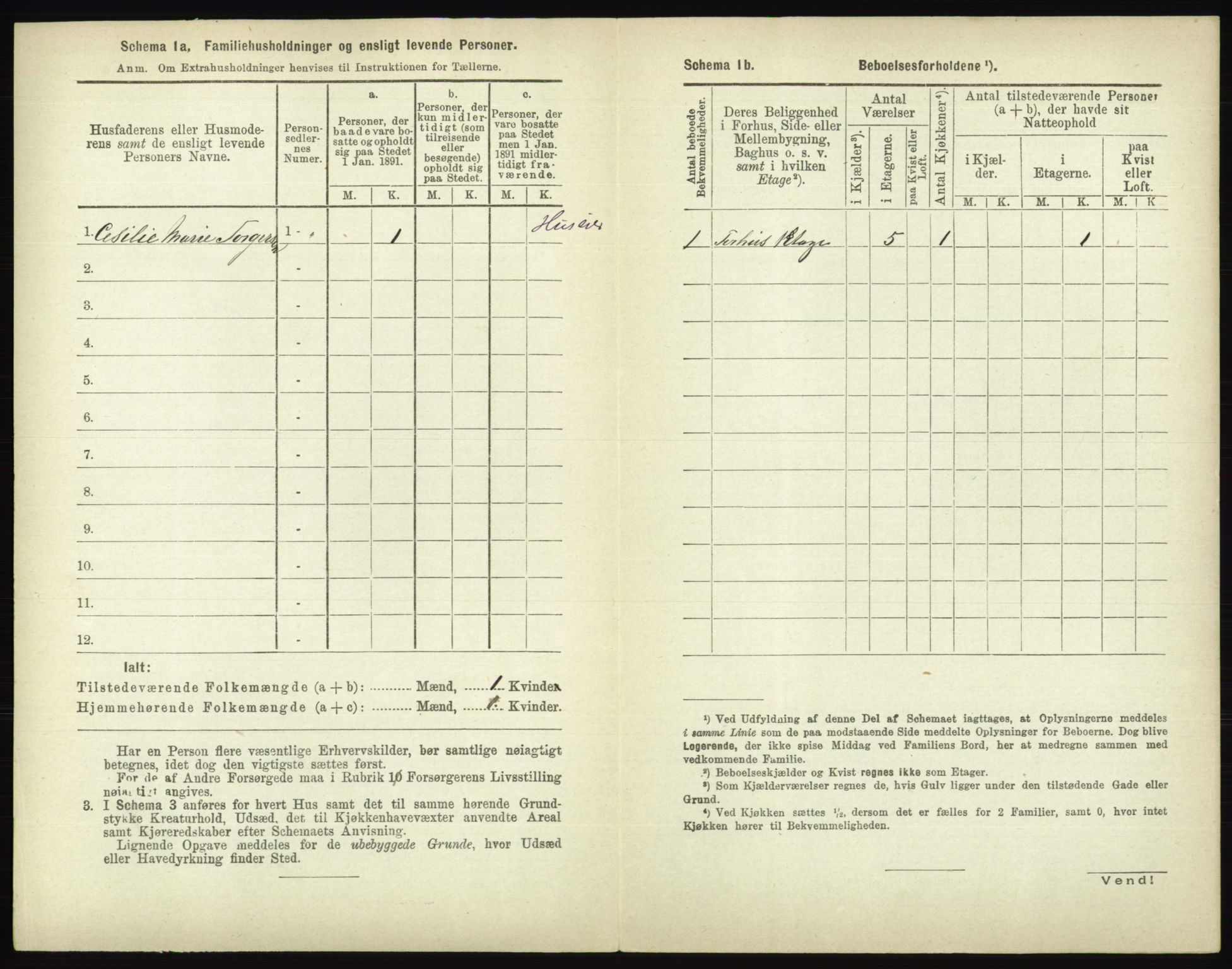 RA, 1891 census for 0203 Drøbak, 1891, p. 480