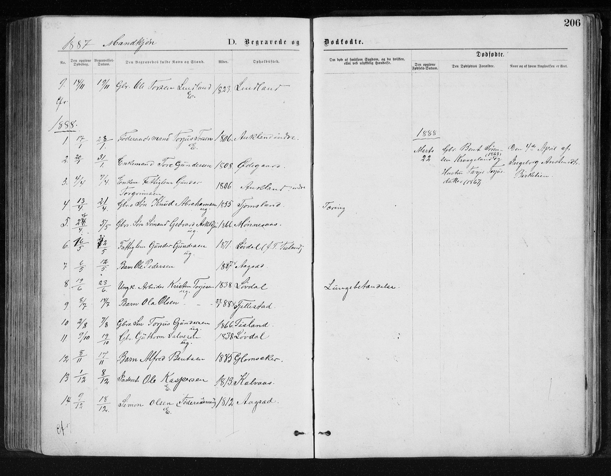Holum sokneprestkontor, SAK/1111-0022/F/Fb/Fbb/L0003: Parish register (copy) no. B 3, 1875-1898, p. 206