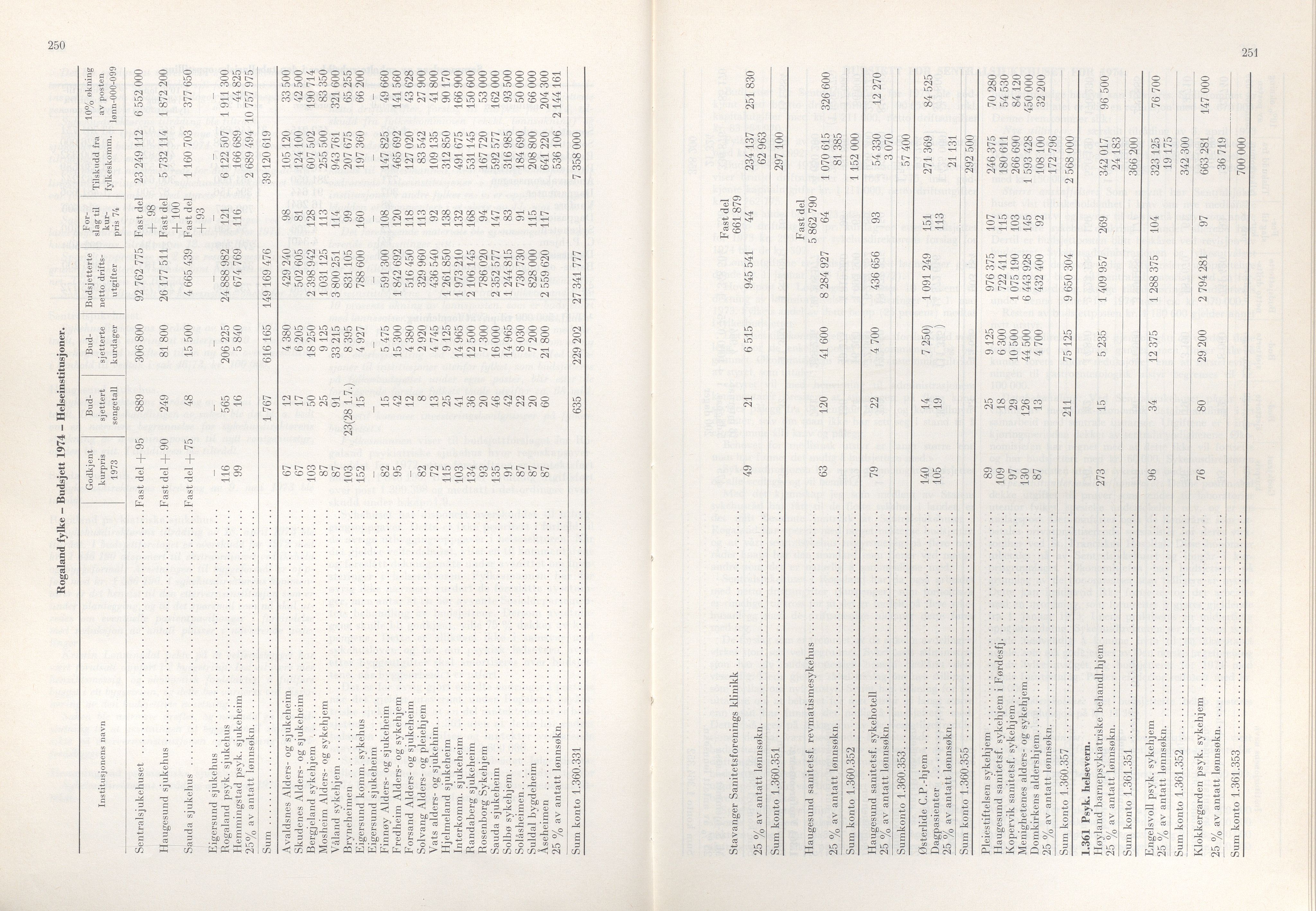 Rogaland fylkeskommune - Fylkesrådmannen , IKAR/A-900/A/Aa/Aaa/L0093: Møtebok , 1973, p. 250-251