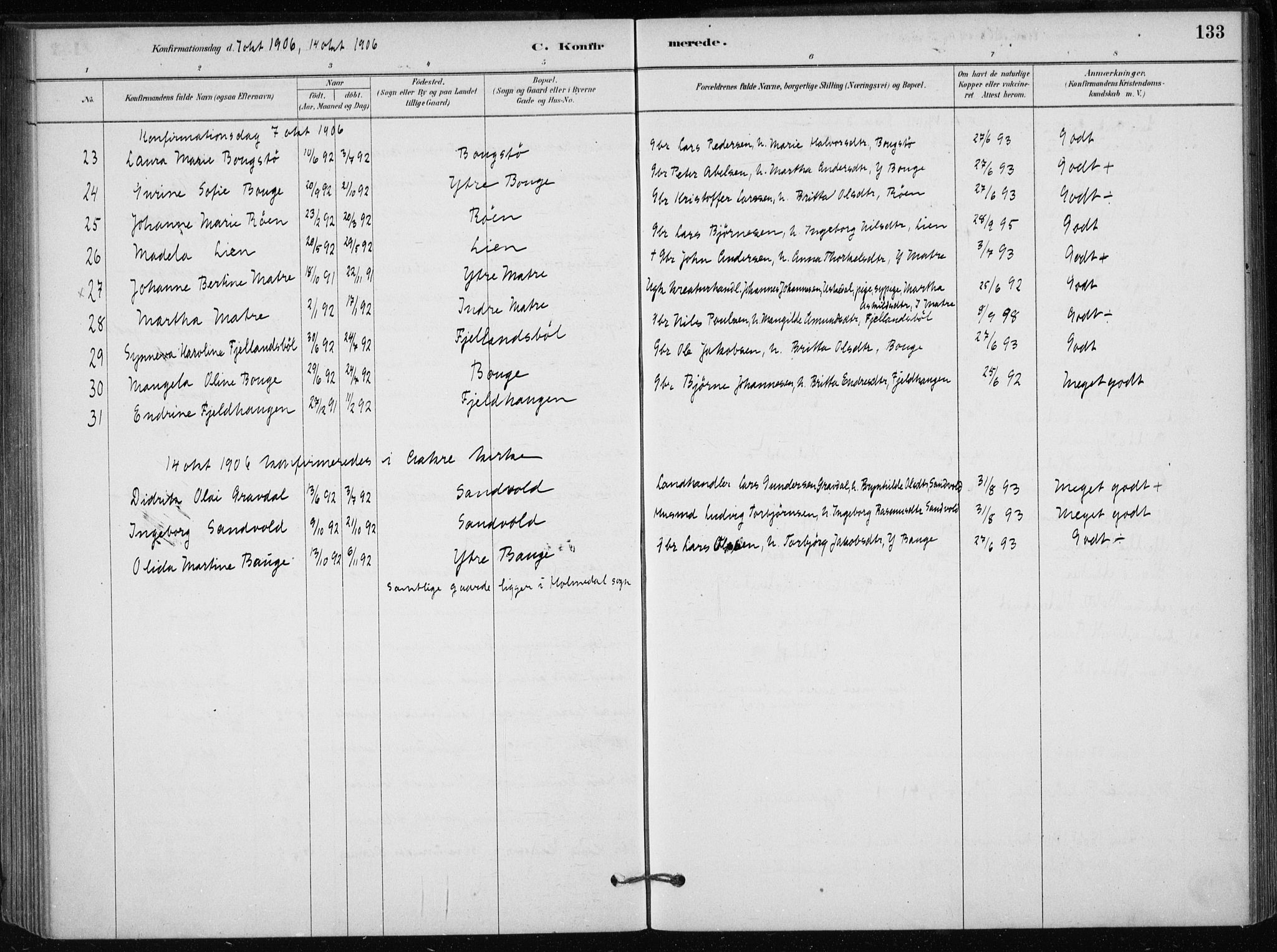 Skånevik sokneprestembete, AV/SAB-A-77801/H/Haa: Parish register (official) no. C  1, 1879-1917, p. 133