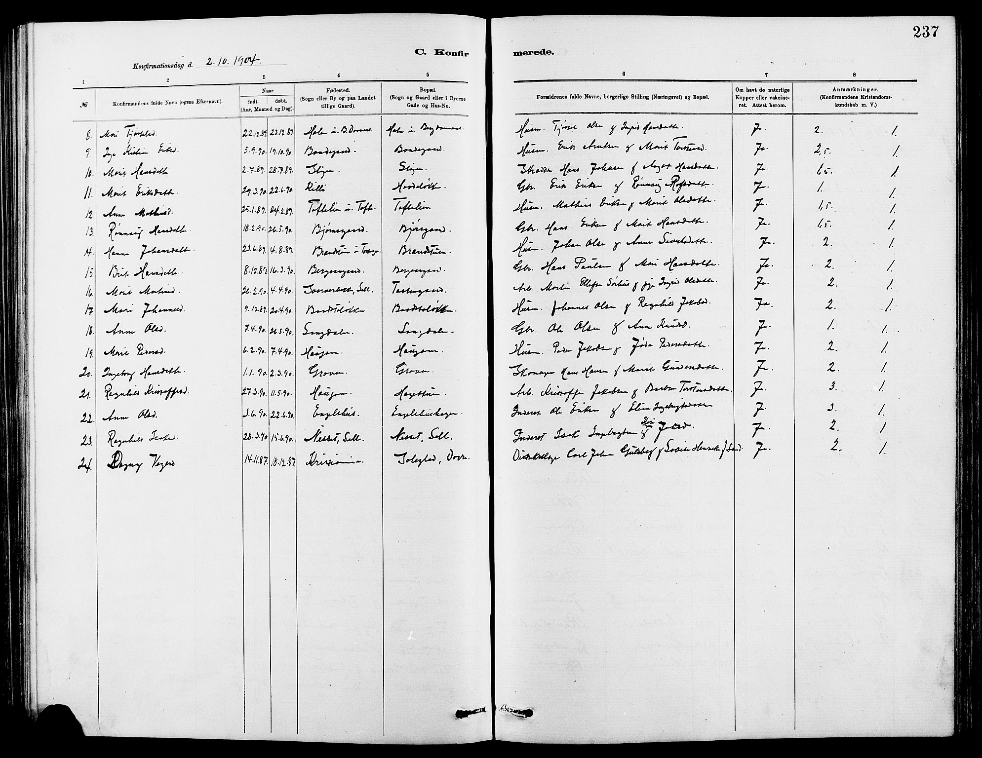 Dovre prestekontor, AV/SAH-PREST-066/H/Ha/Hab/L0002: Parish register (copy) no. 2, 1881-1907, p. 237