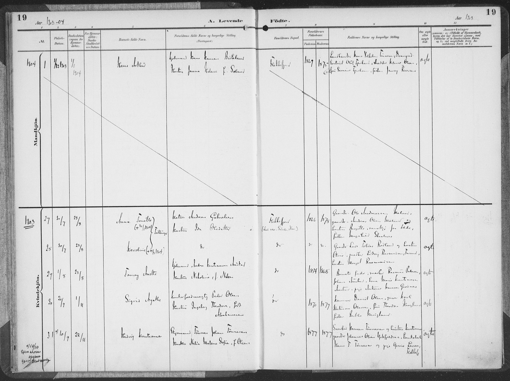 Flekkefjord sokneprestkontor, AV/SAK-1111-0012/F/Fa/Faa/L0002: Parish register (official) no. A 2, 1900-1912, p. 19