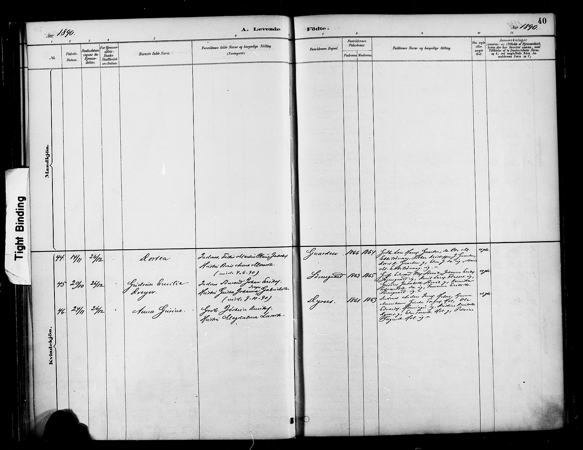 Ministerialprotokoller, klokkerbøker og fødselsregistre - Møre og Romsdal, AV/SAT-A-1454/569/L0819: Parish register (official) no. 569A05, 1885-1899, p. 40