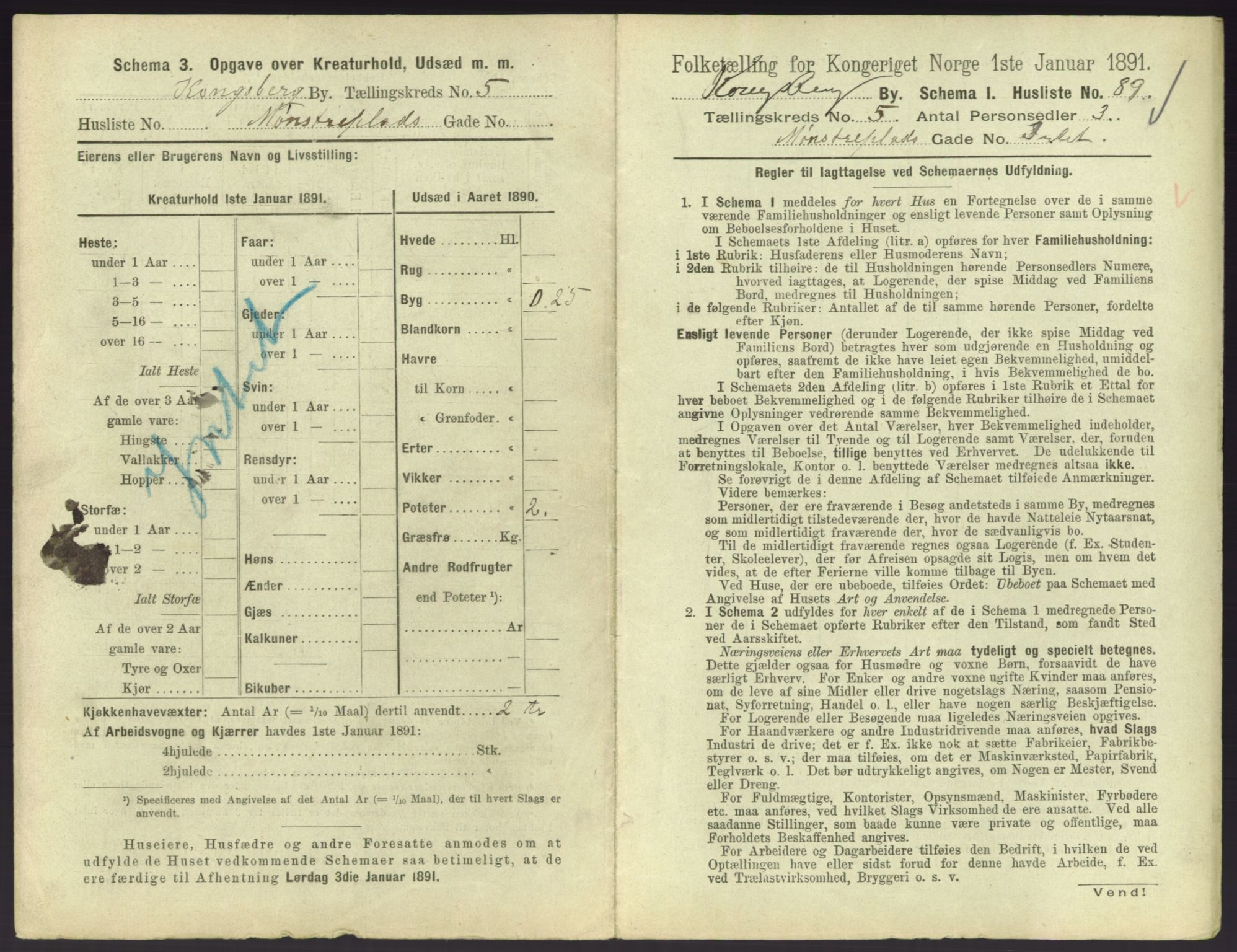 RA, 1891 census for 0604 Kongsberg, 1891, p. 925