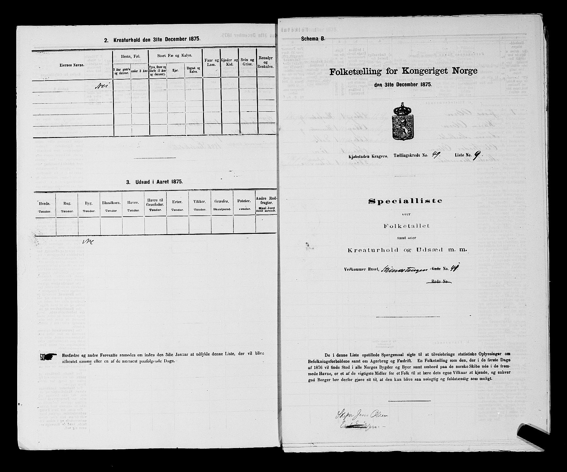 SAKO, 1875 census for 0801P Kragerø, 1875, p. 1096