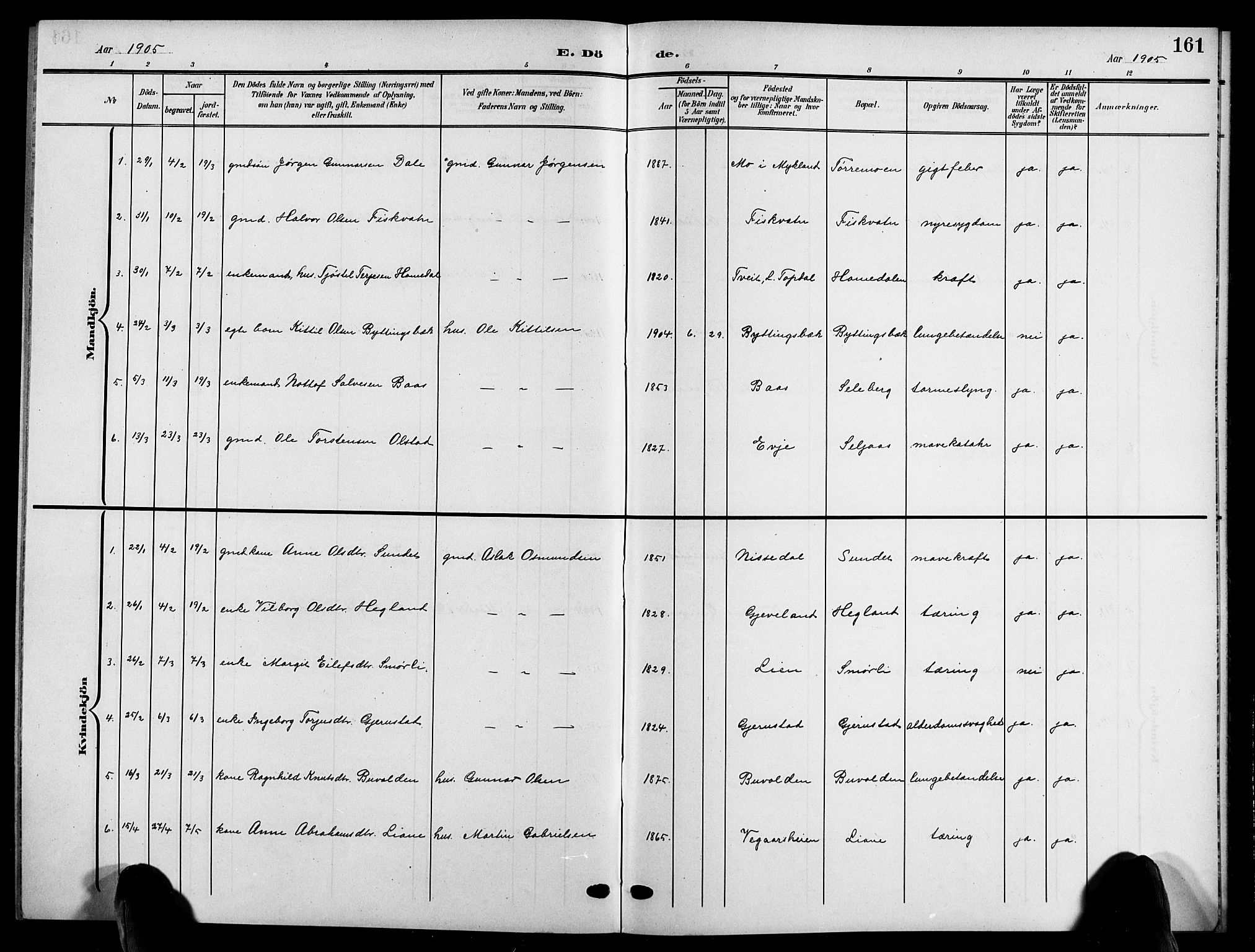 Åmli sokneprestkontor, SAK/1111-0050/F/Fb/Fbc/L0005: Parish register (copy) no. B 5, 1903-1916, p. 161