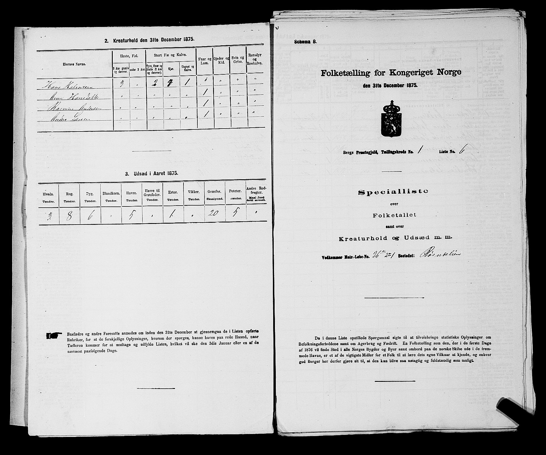 RA, 1875 census for 0116P Berg, 1875, p. 38