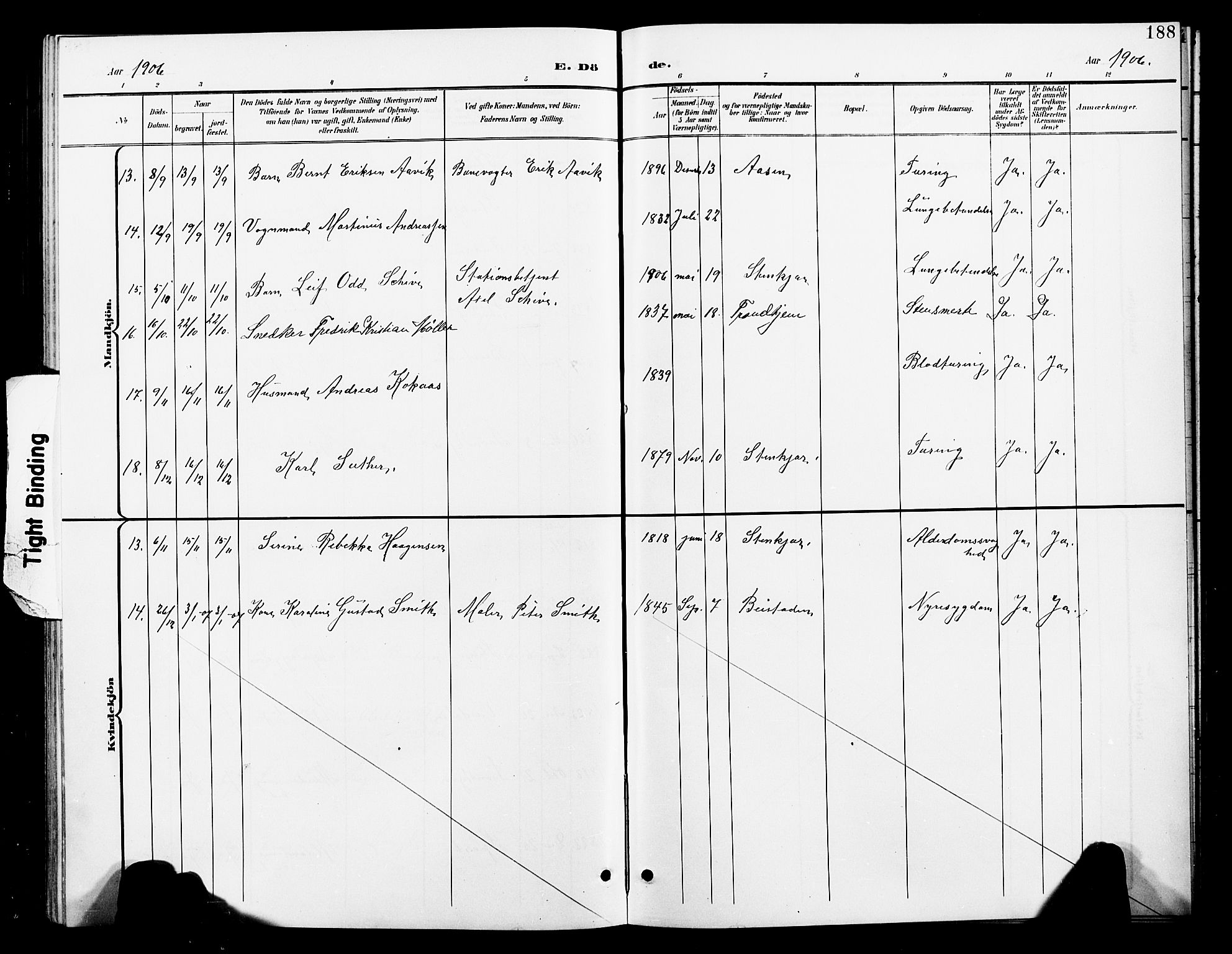 Ministerialprotokoller, klokkerbøker og fødselsregistre - Nord-Trøndelag, SAT/A-1458/739/L0375: Parish register (copy) no. 739C03, 1898-1908, p. 188